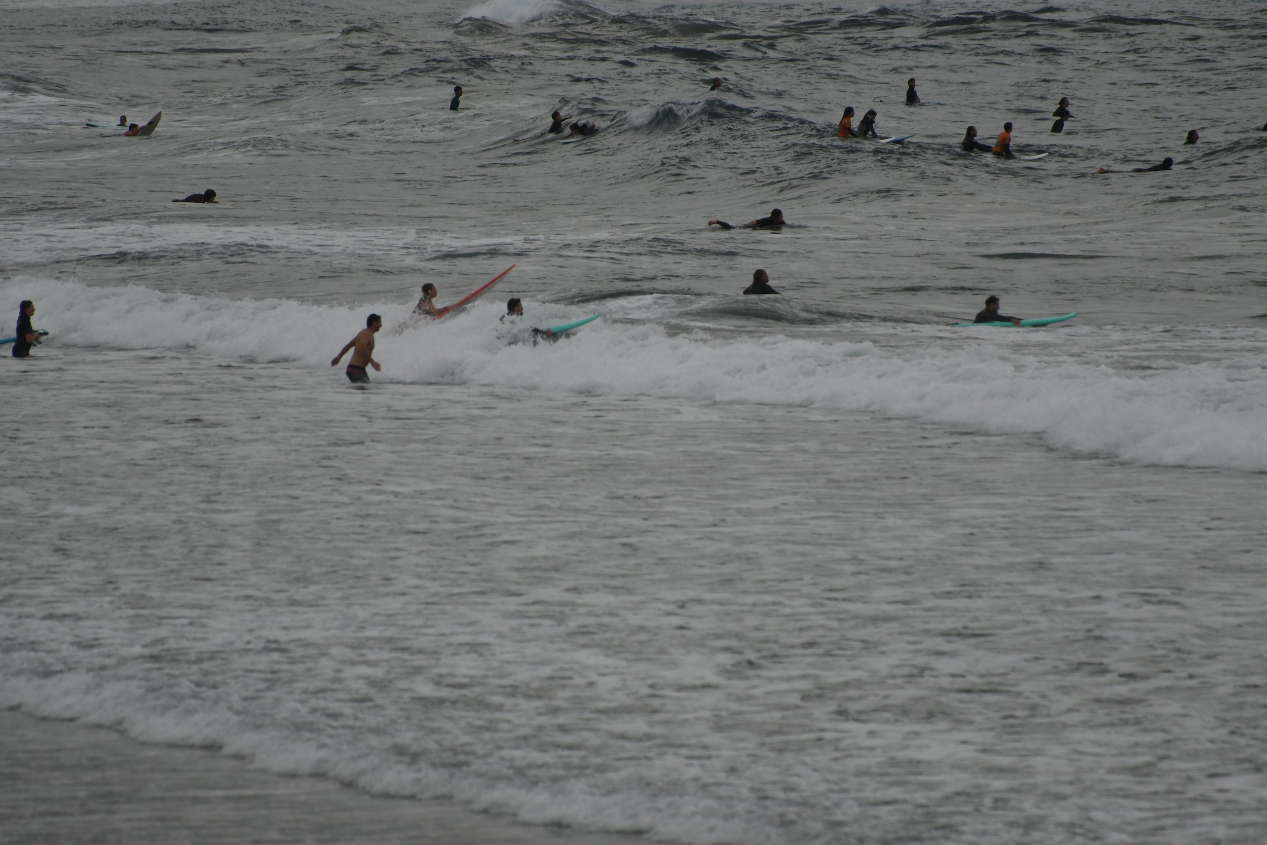 DSC_5936.JPG