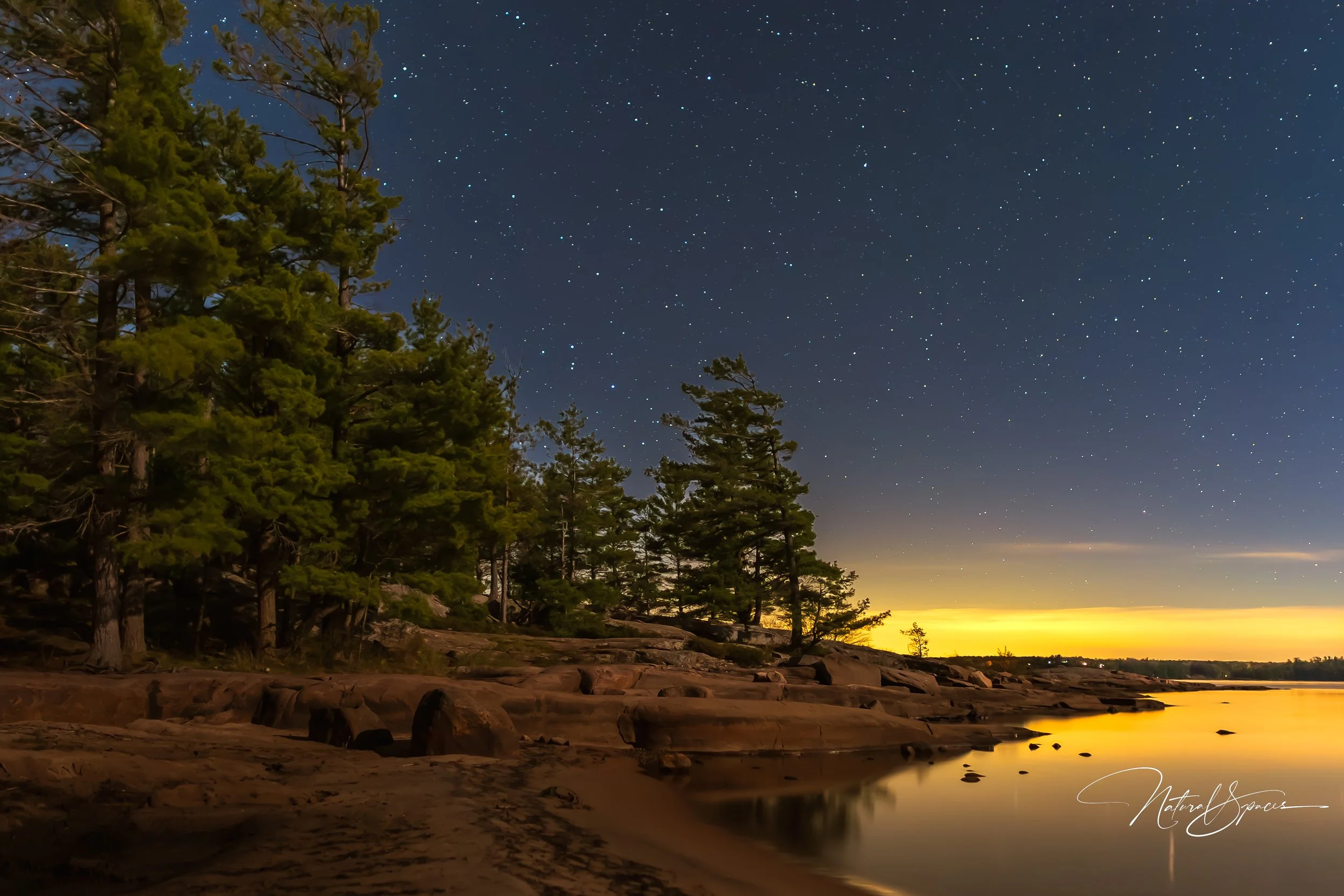 Nighttime scene of a forested lakeshore with tall pine trees on the left, rocks along the shore, and calm water reflecting a glowing horizon with a sky filled with numerous stars.