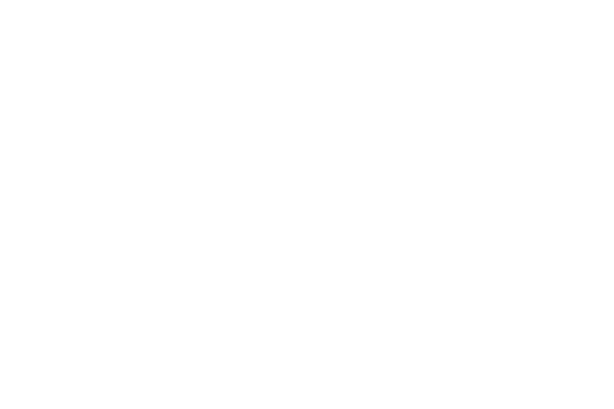 Logo for Natural Scapes Photography with elegant white script on a black background.