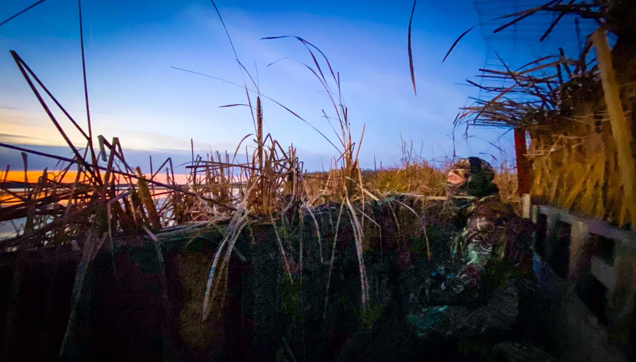 A person wearing camouflage clothing and a headlamp stands among tall dry grass during dusk or dawn, with a sky showing shades of blue and orange.