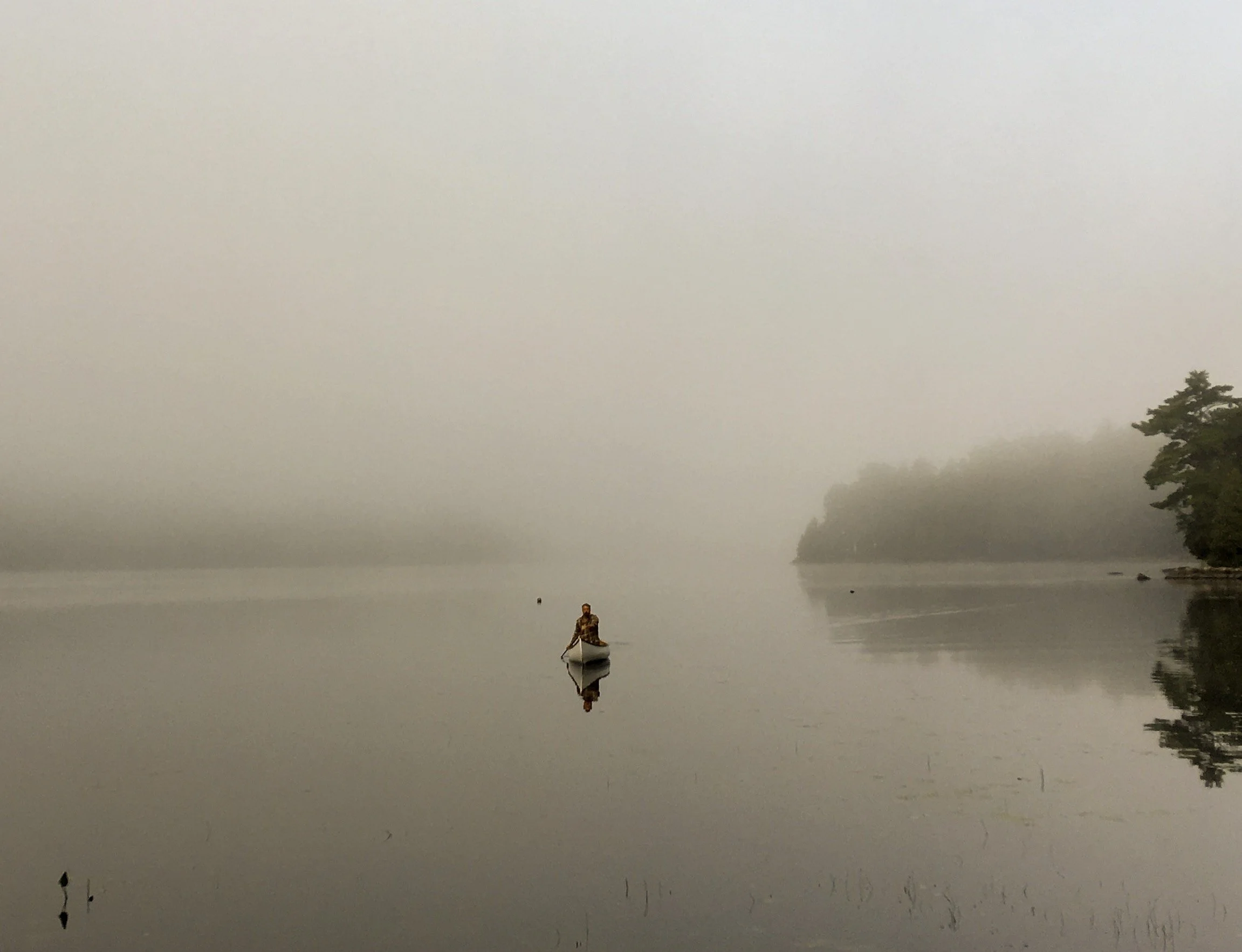 A person in a small boat on a calm, foggy river with misty trees on the far bank.