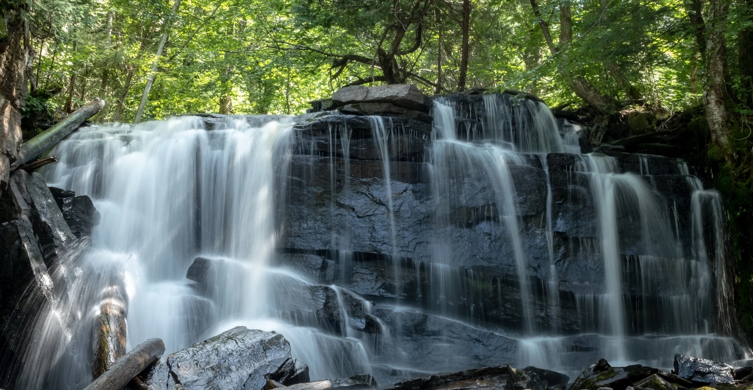 A peaceful forest scene featuring a small waterfall cascading over dark rocks amidst green trees and foliage.