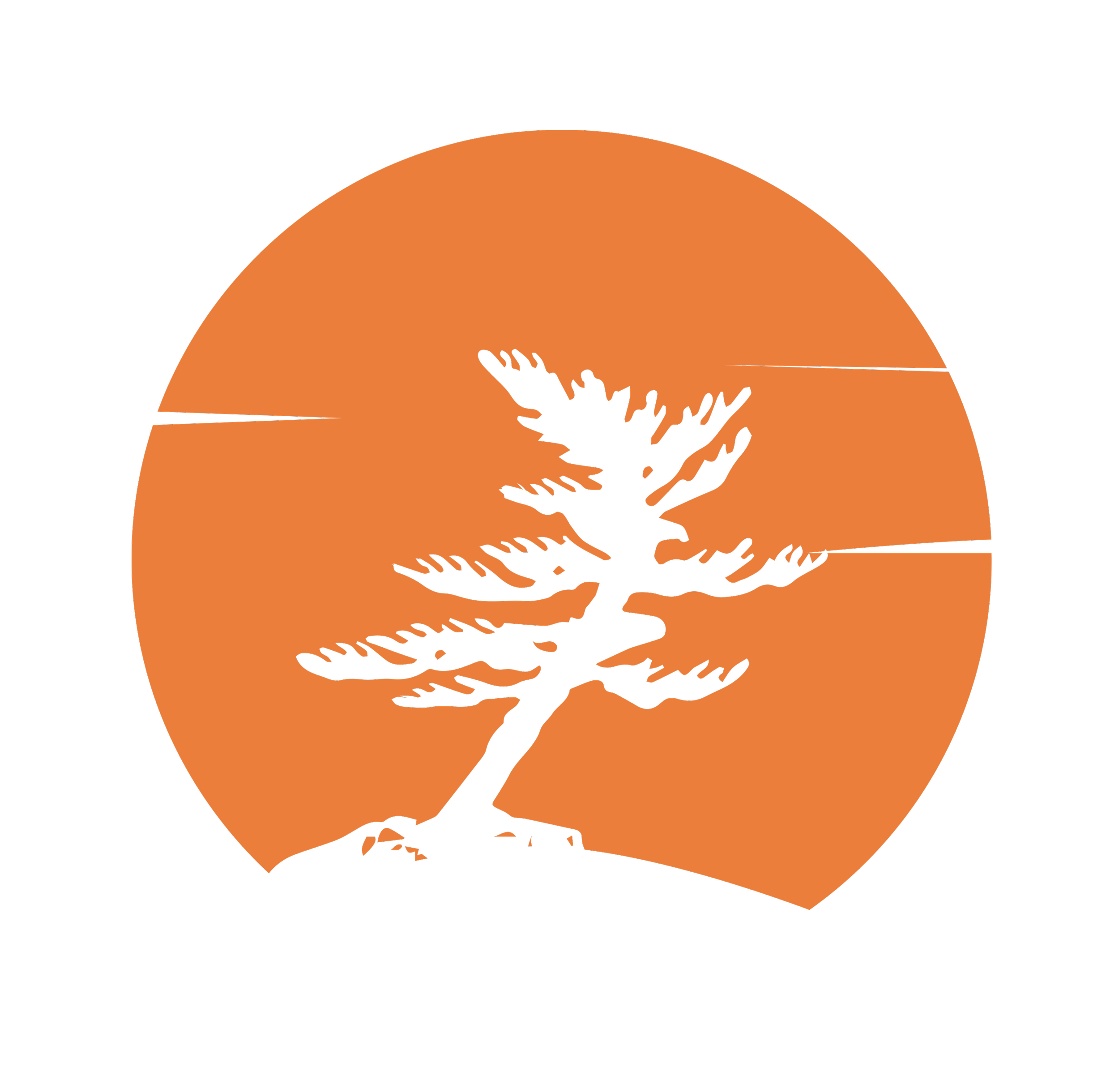 Natural spaces logo