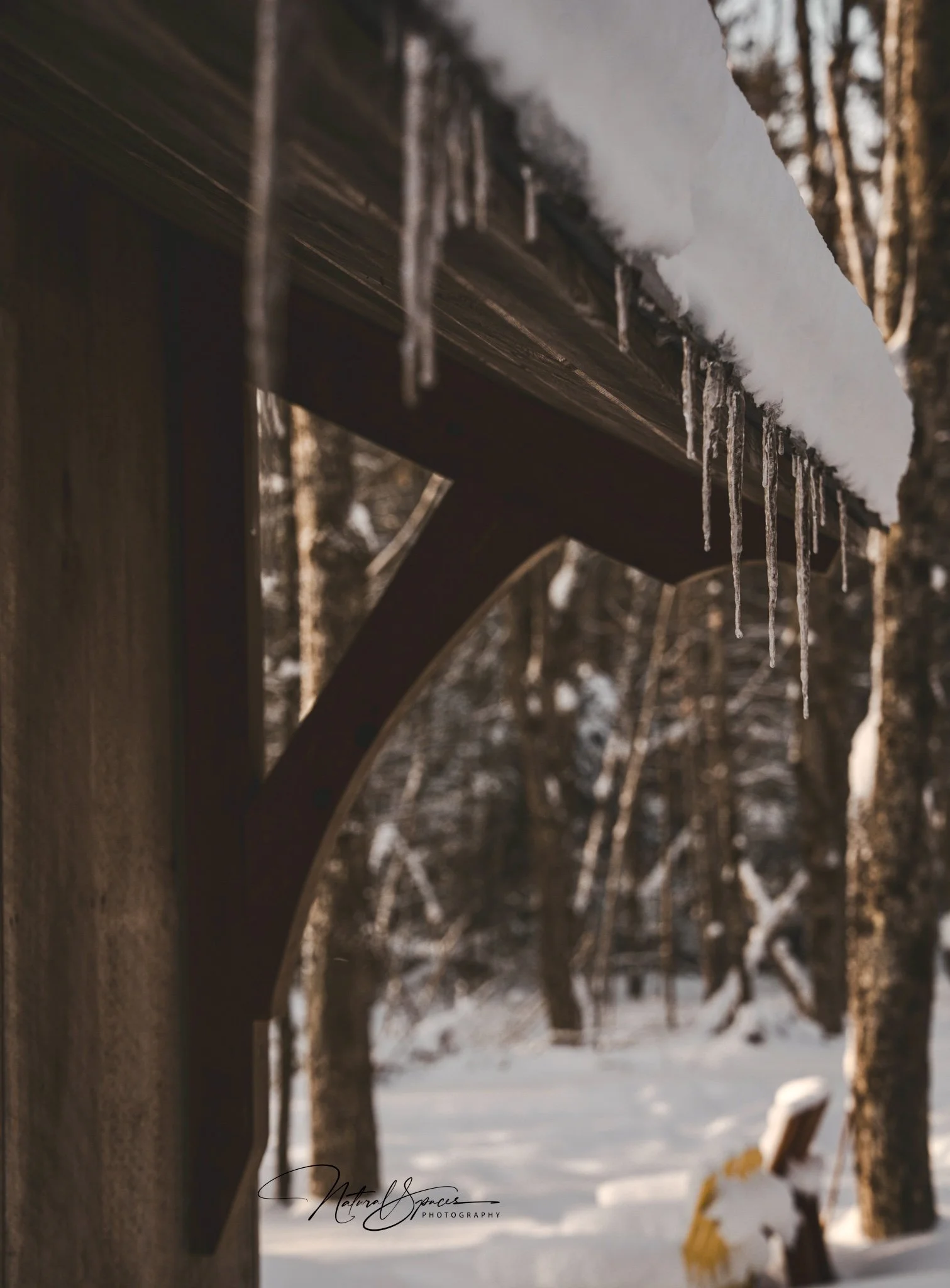 Icicles hanging from the edge of a snow-covered wooden roof with a snowy forest in the background.