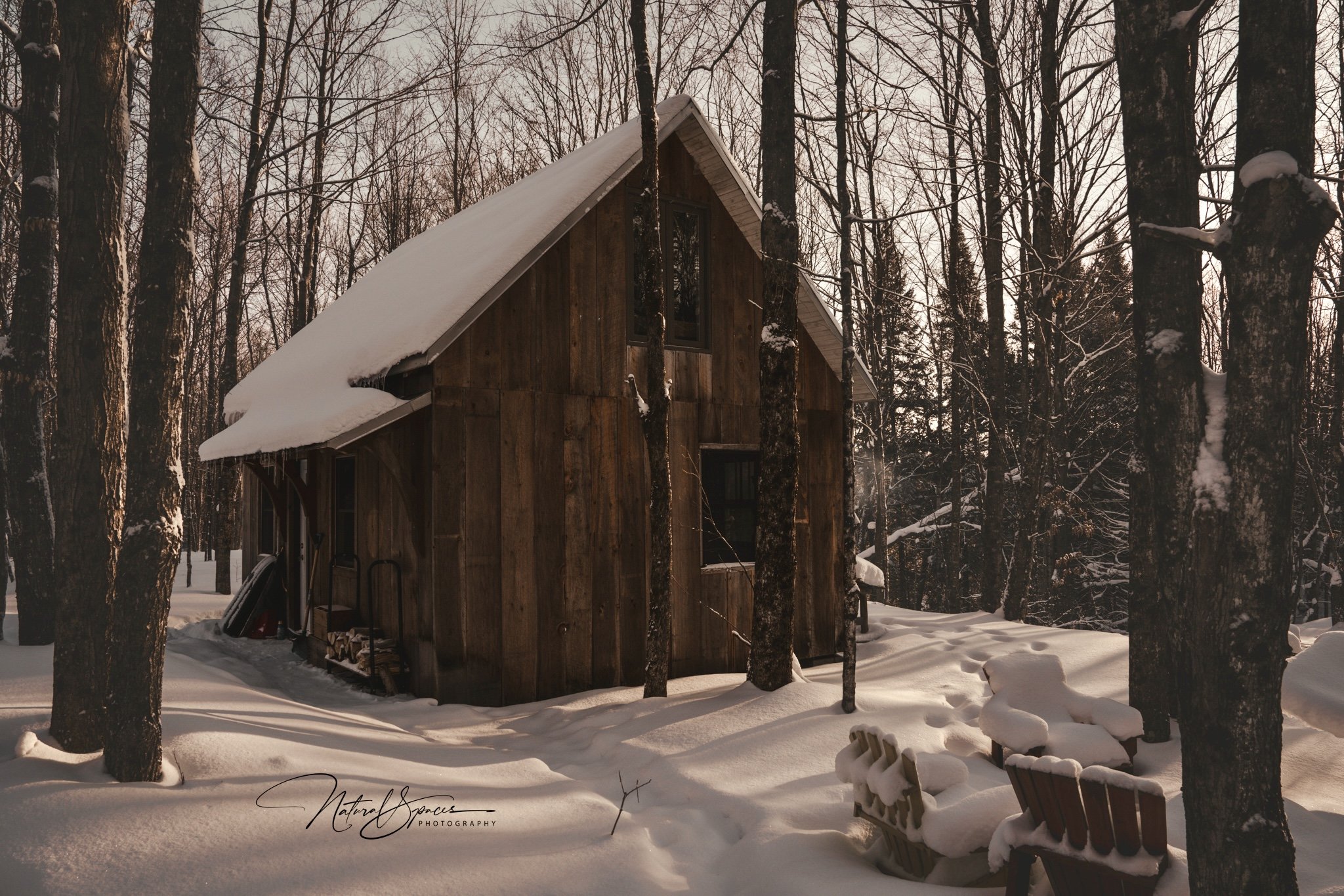 A wooden cabin in a snowy forest with tall bare trees; snow-covered chairs in the foreground.