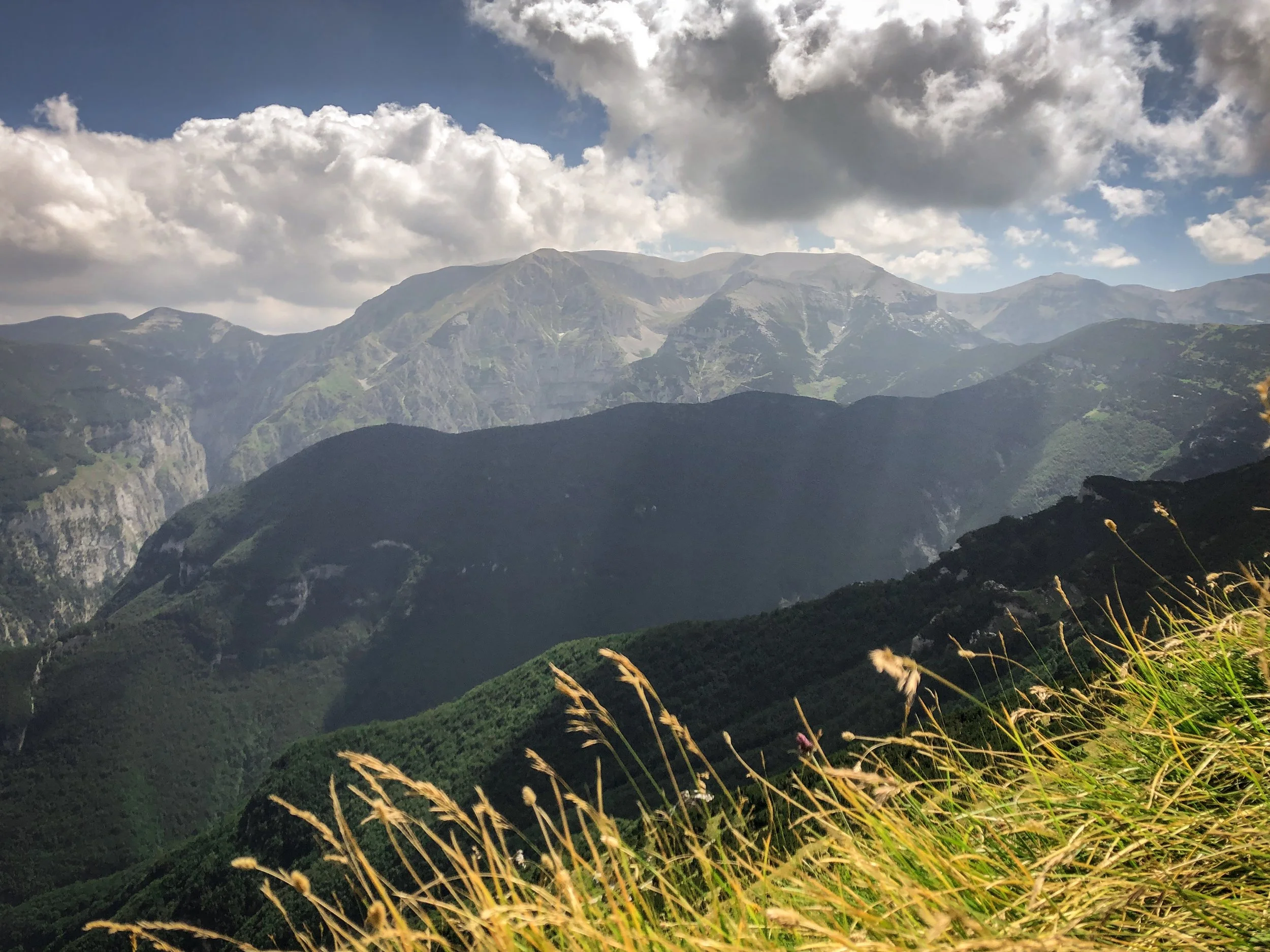 Mountains with green slopes, partly cloudy sky, and tall grass in the foreground.