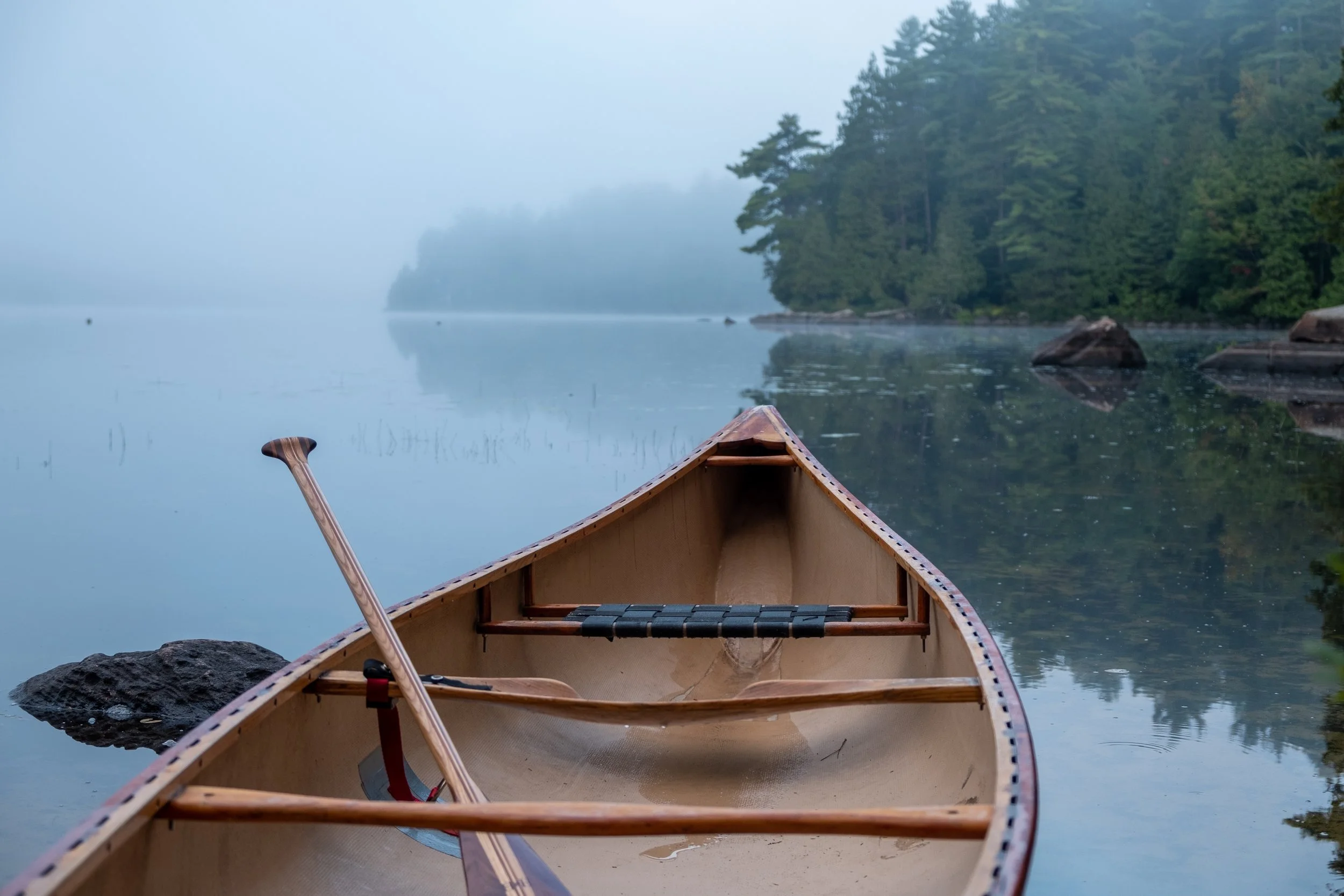 A canoe on a calm, foggy lake with lush green trees on the shoreline and rocks. The view is from inside the canoe, with paddles resting inside.