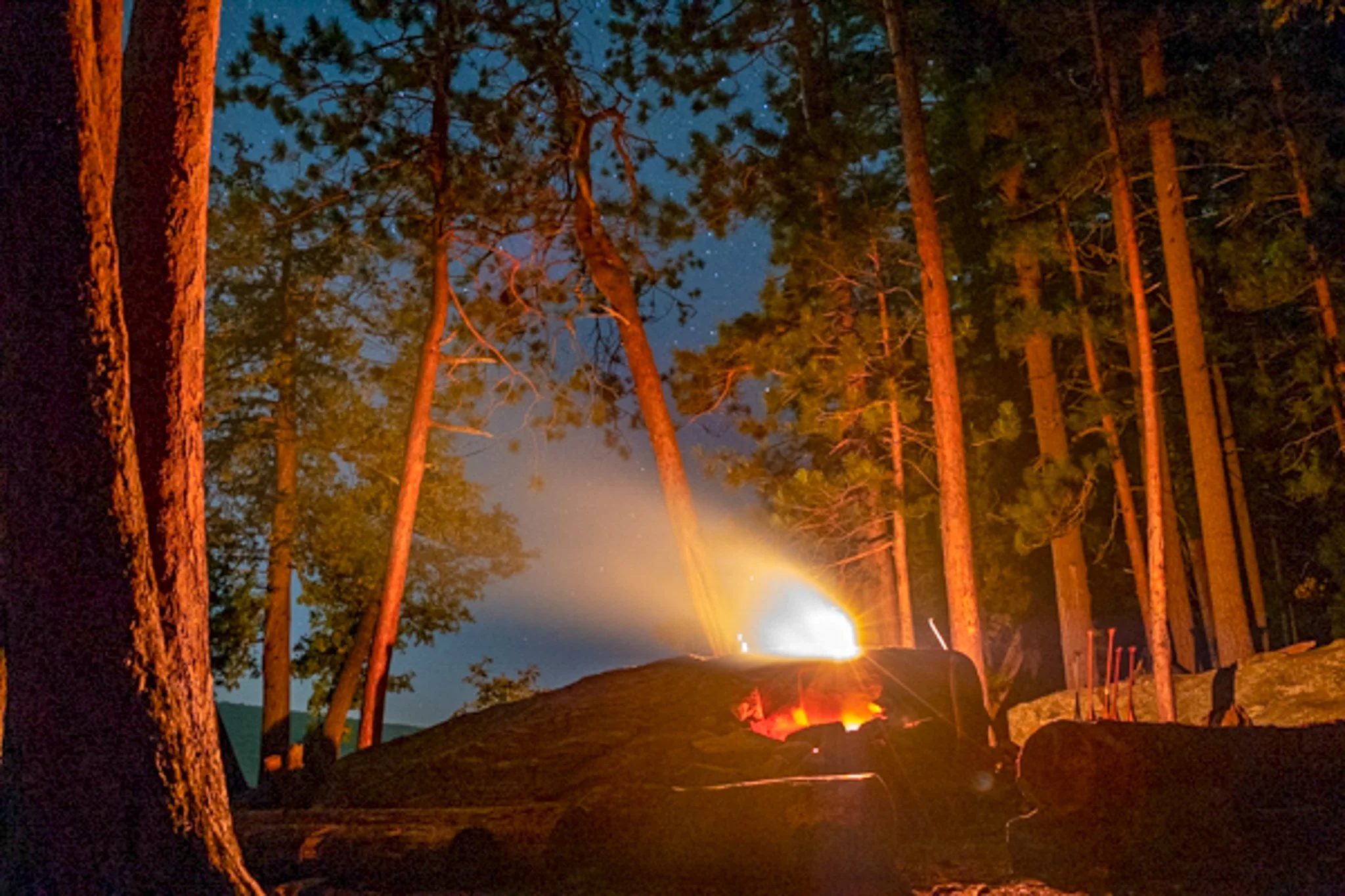 Nighttime scene of a forest with tall trees, illuminated by a bright, intense fire on a rock or hill, with smoke or flames rising into the sky.