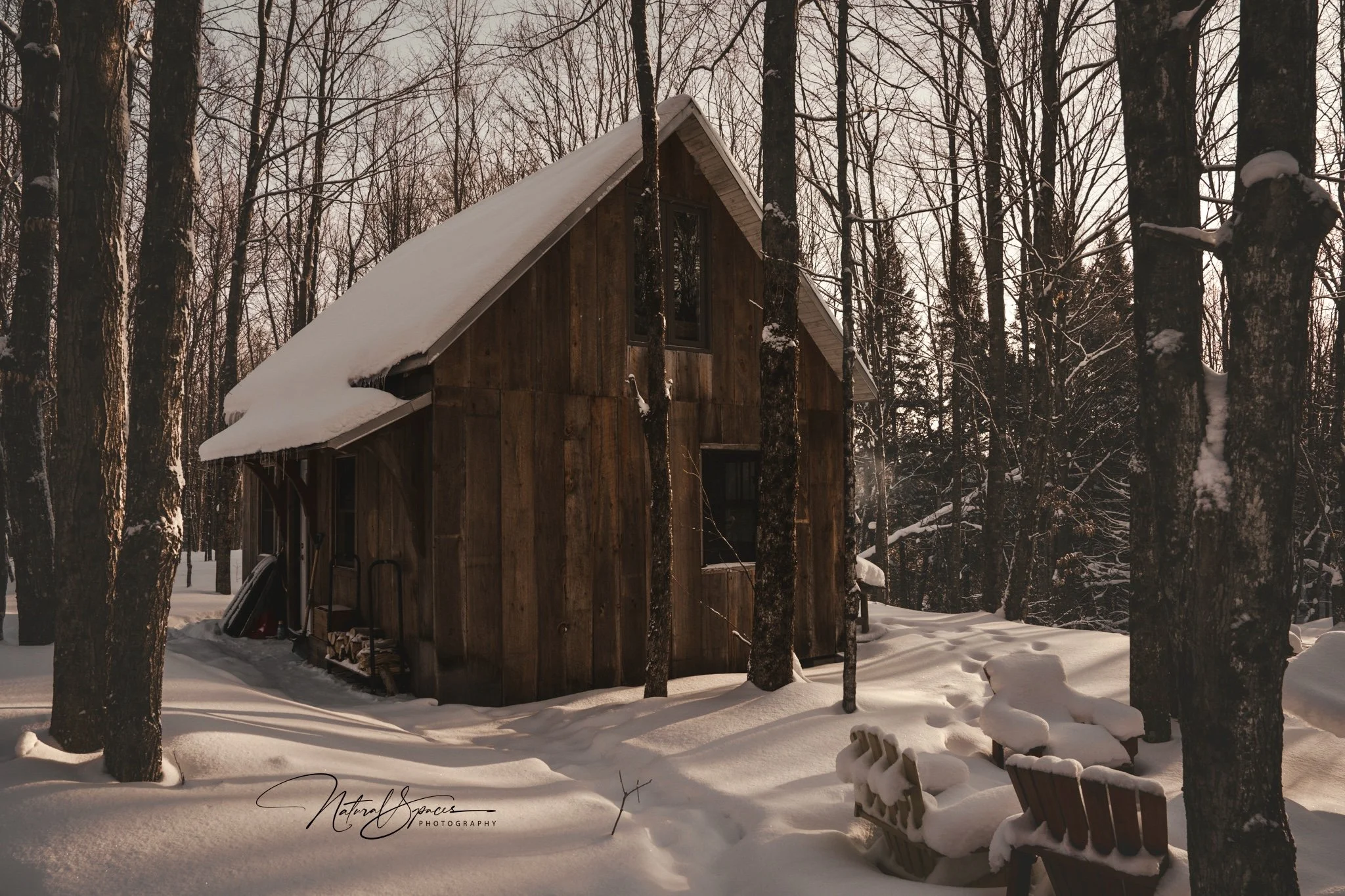 Cozy Cabin