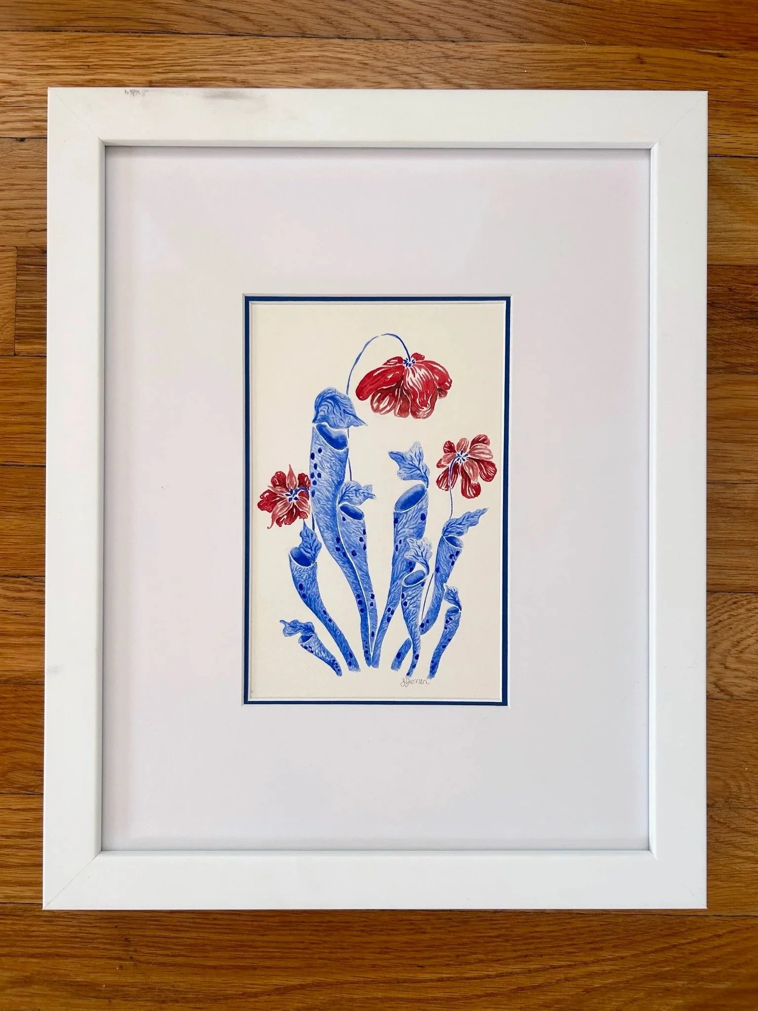 Alabama Canebrake Pitcher Plants
Watercolor 
2025