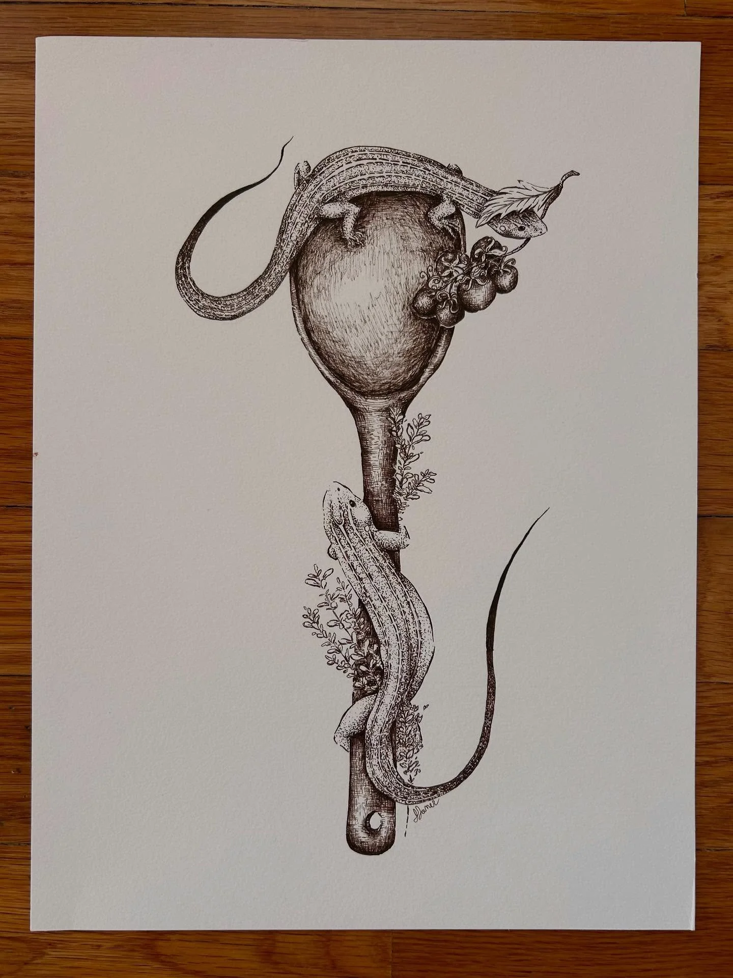 Sometimes you just have to have a little fun&hellip;..

Kitchen Skinks
Pen and Ink 
9 by 12 in