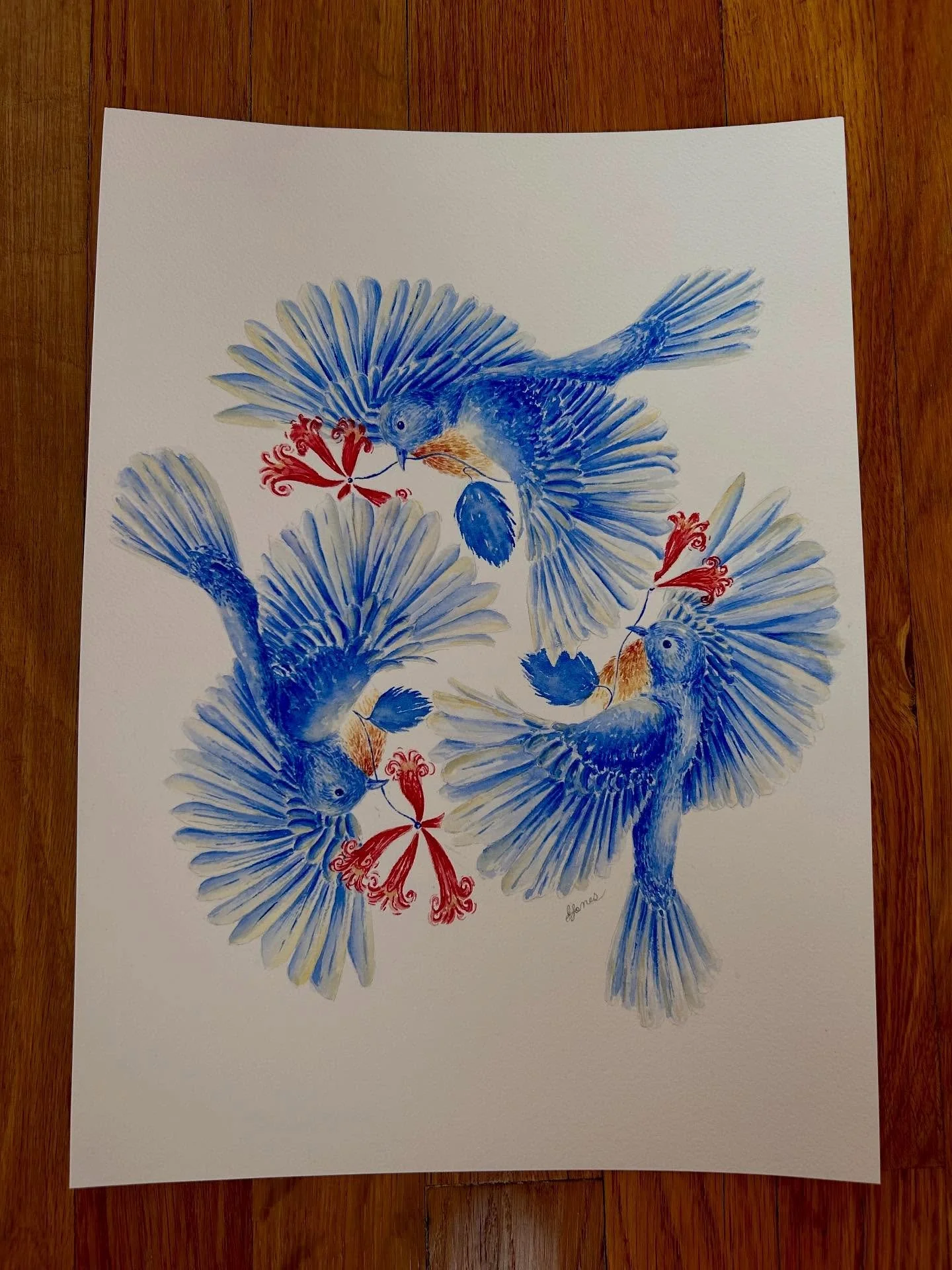 Eastern Bluebirds
Watercolor
July 2025