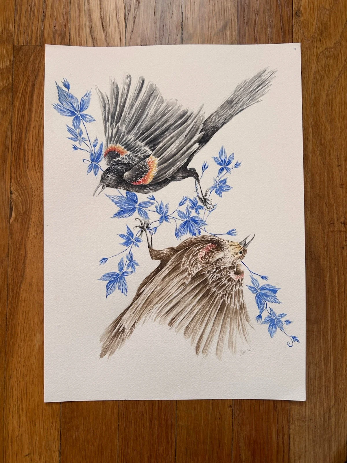 Tangled Duet
Watercolor 
2026