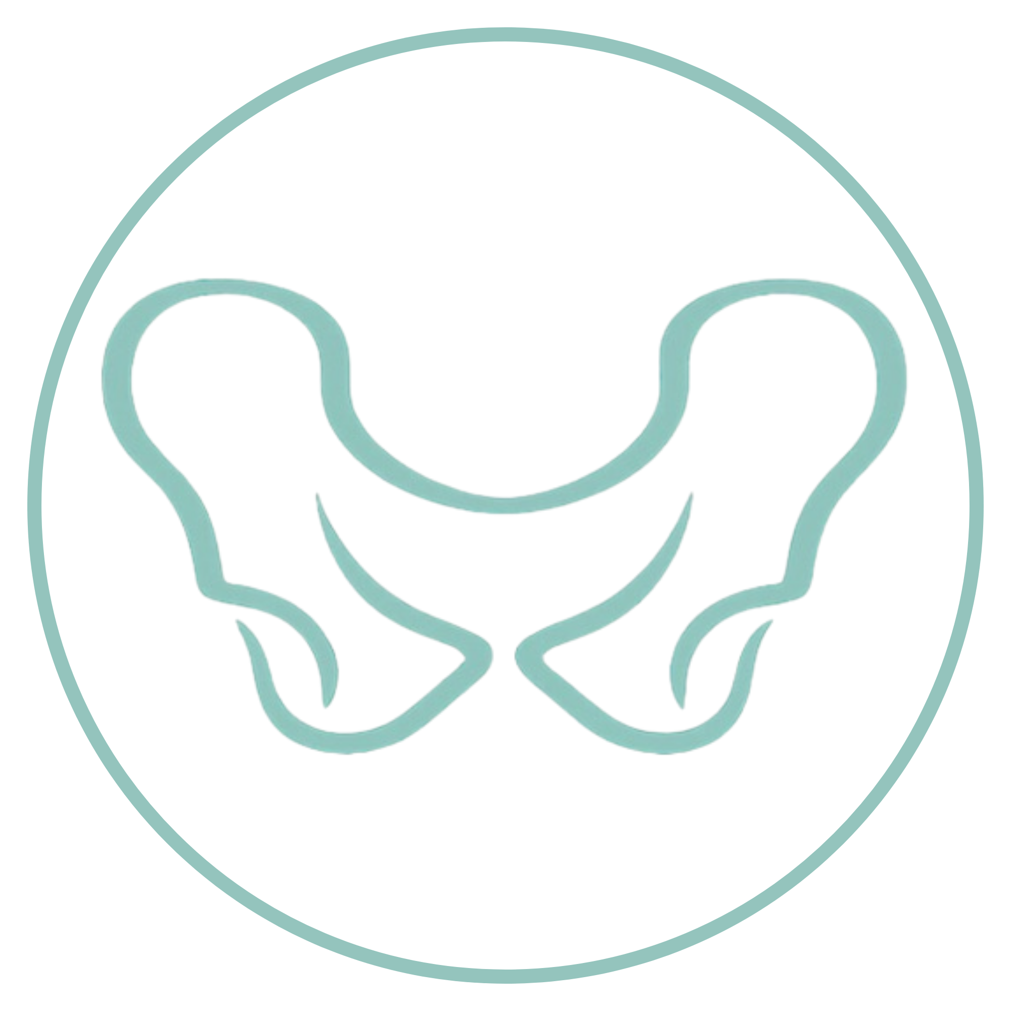 Pelvis outlined by circular frame, Tampa Pelvic Health