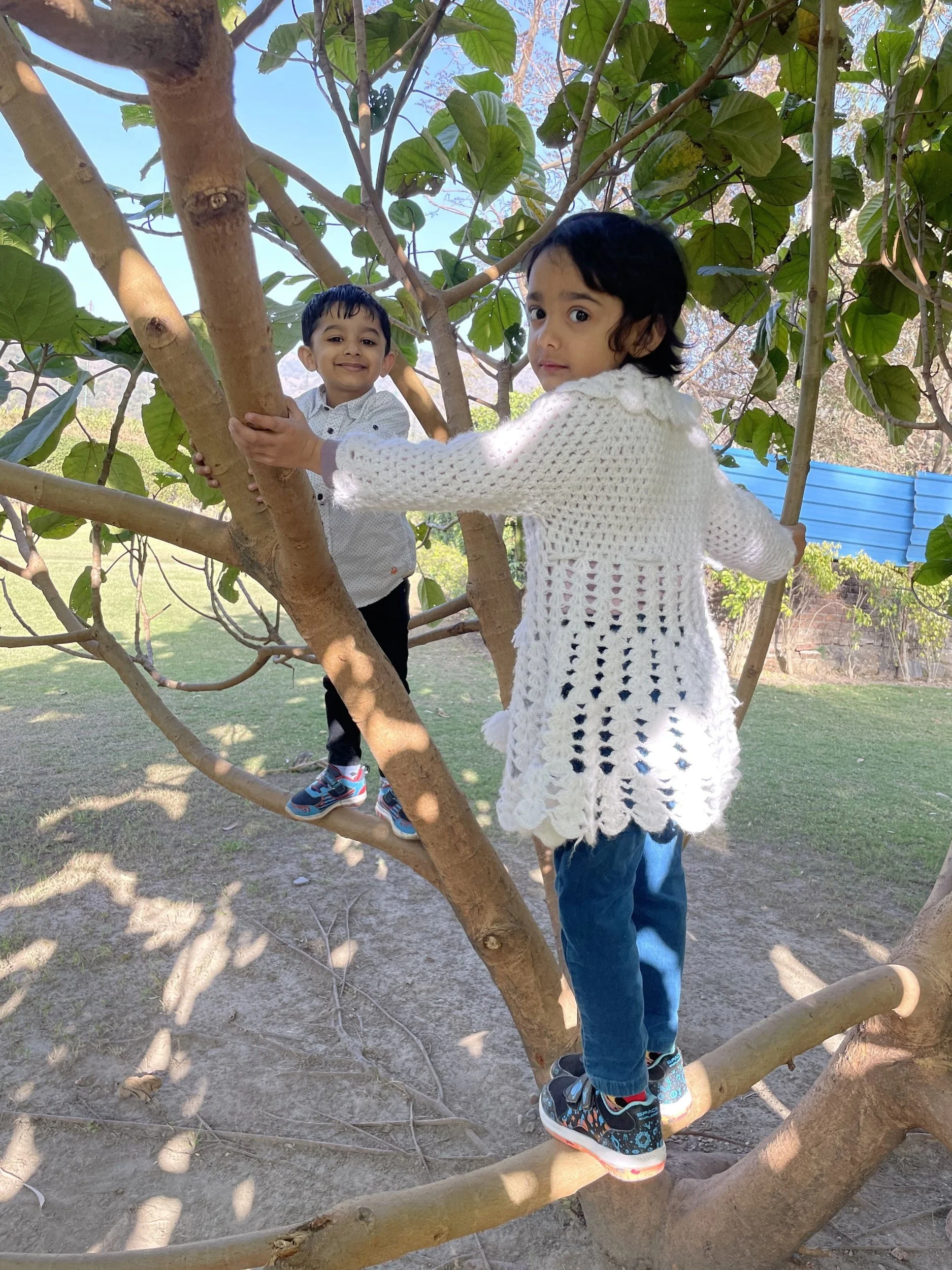 Two young children climbing a tree outdoors, surrounded by green leaves, with a clear blue sky in the background.