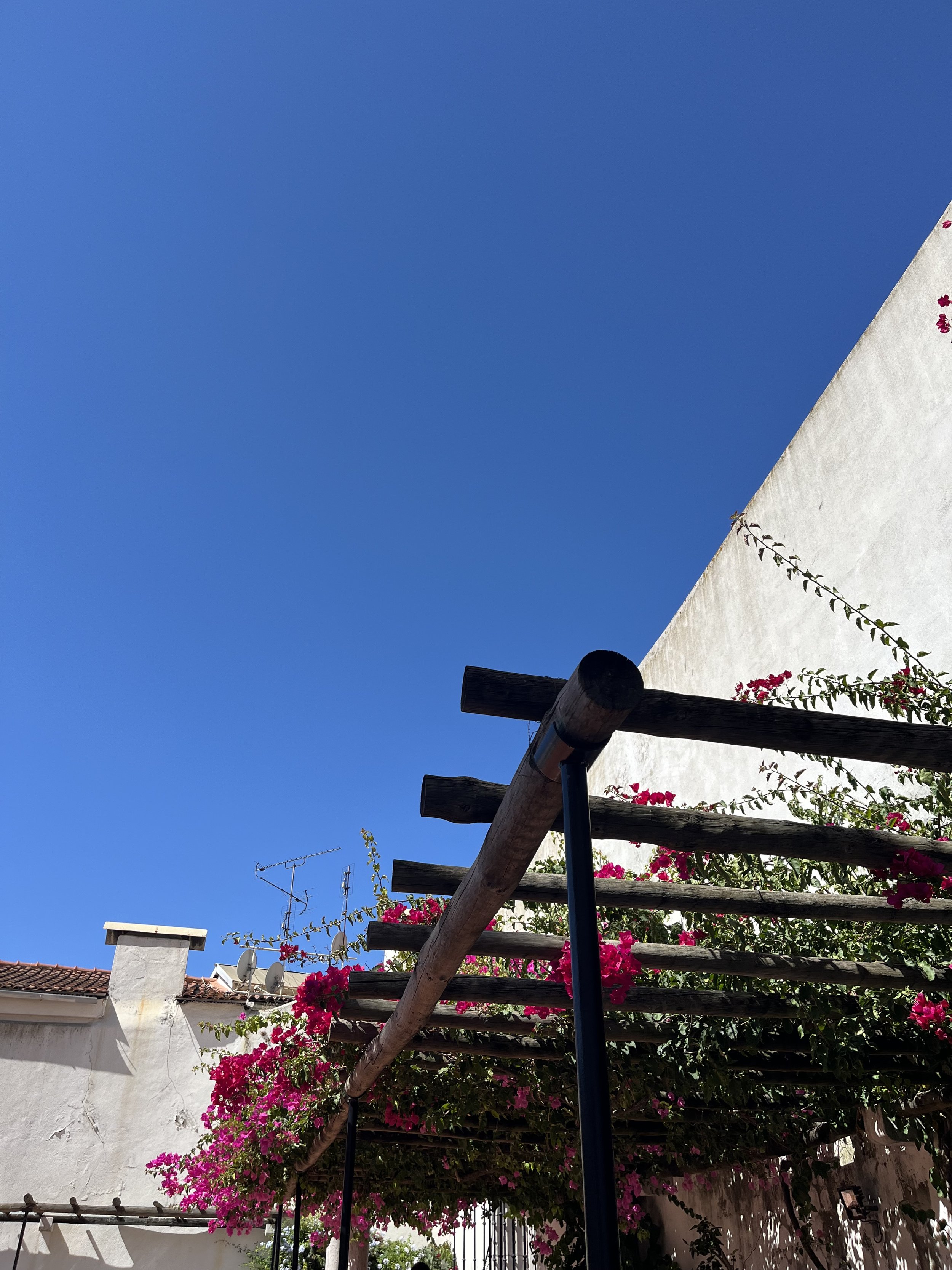 Bright blue sky with a white building wall partially covered by pink and magenta bougainvillea flowers and a wooden pergola with metal supports.