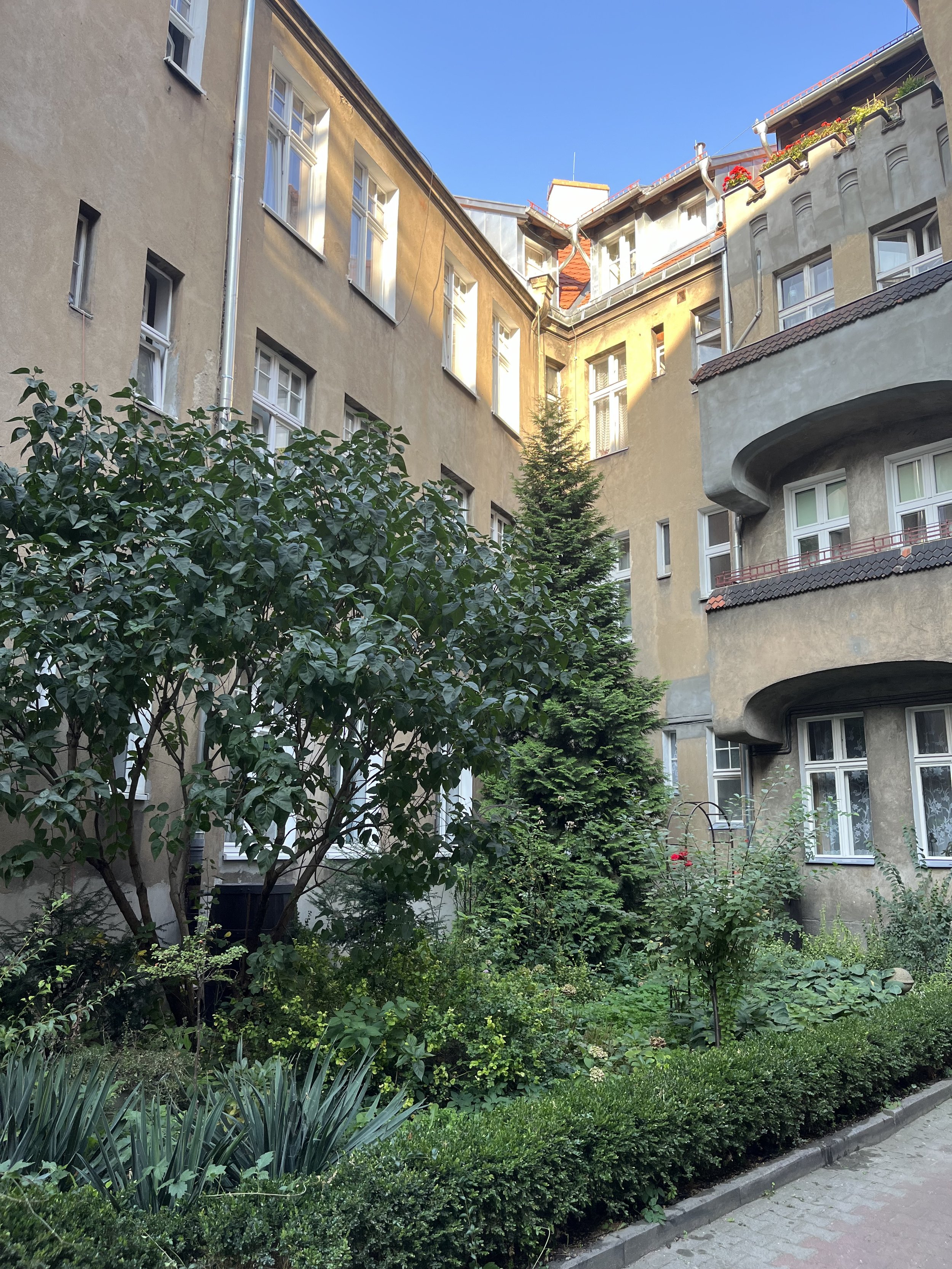 A courtyard garden surrounded by buildings with multiple windows, a mix of green trees, shrubs, and plants, and a cobblestone path.