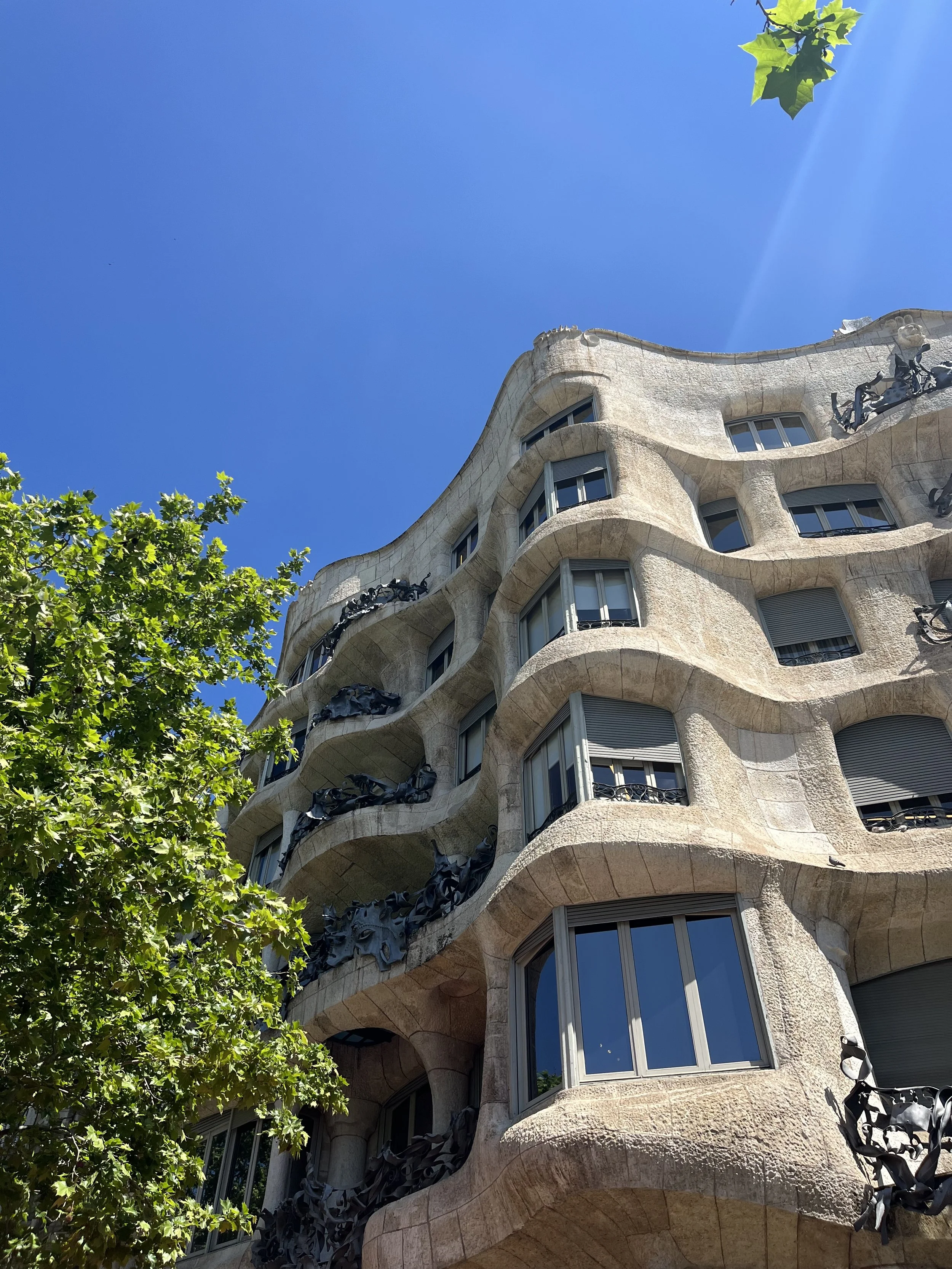 A modern apartment building with an undulating facade, featuring many windows with roller shades, decorative black wrought iron balconies, and sculptures of horses on the exterior, with a tree nearby and a clear blue sky overhead.