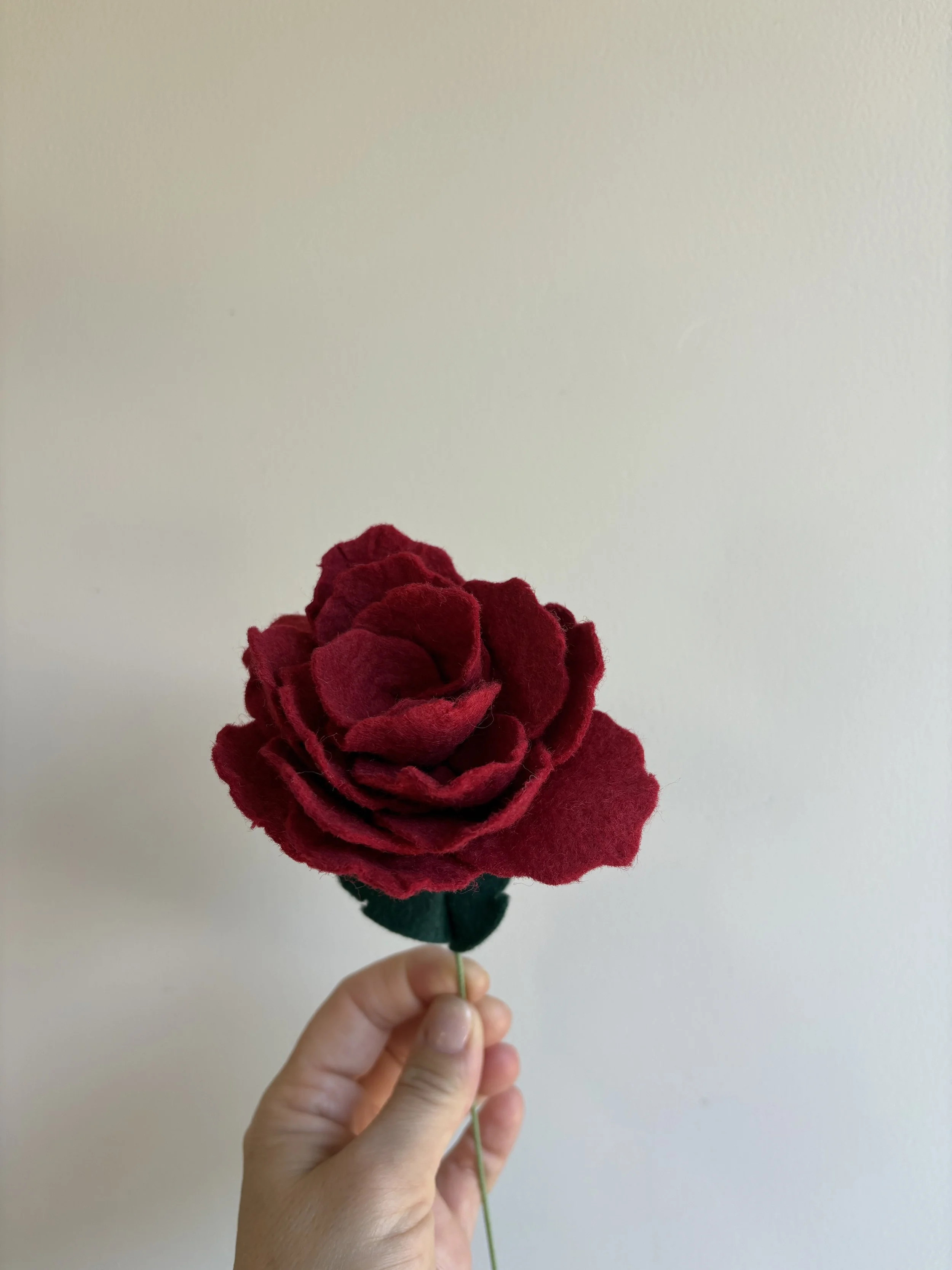 Rose in Red