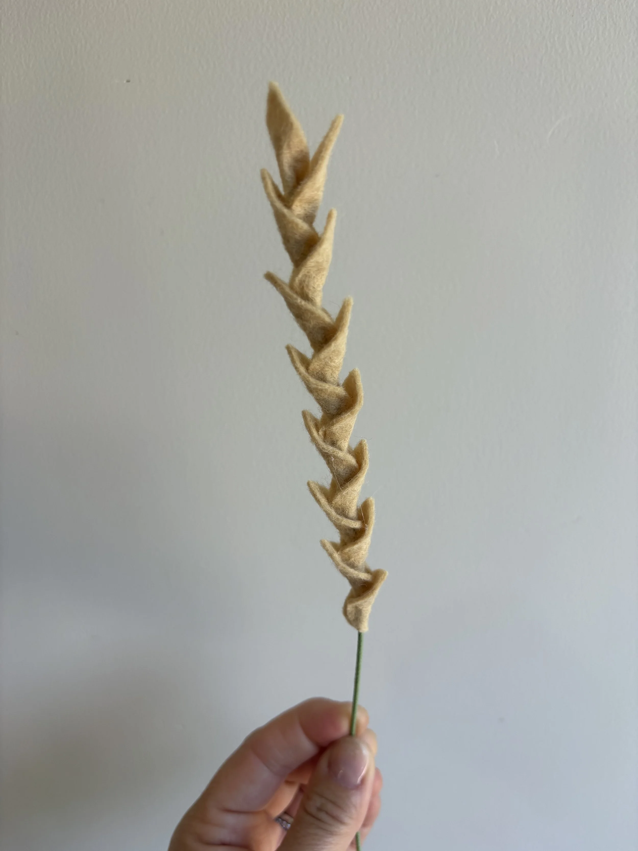 Wheat Stalk 2.jpeg