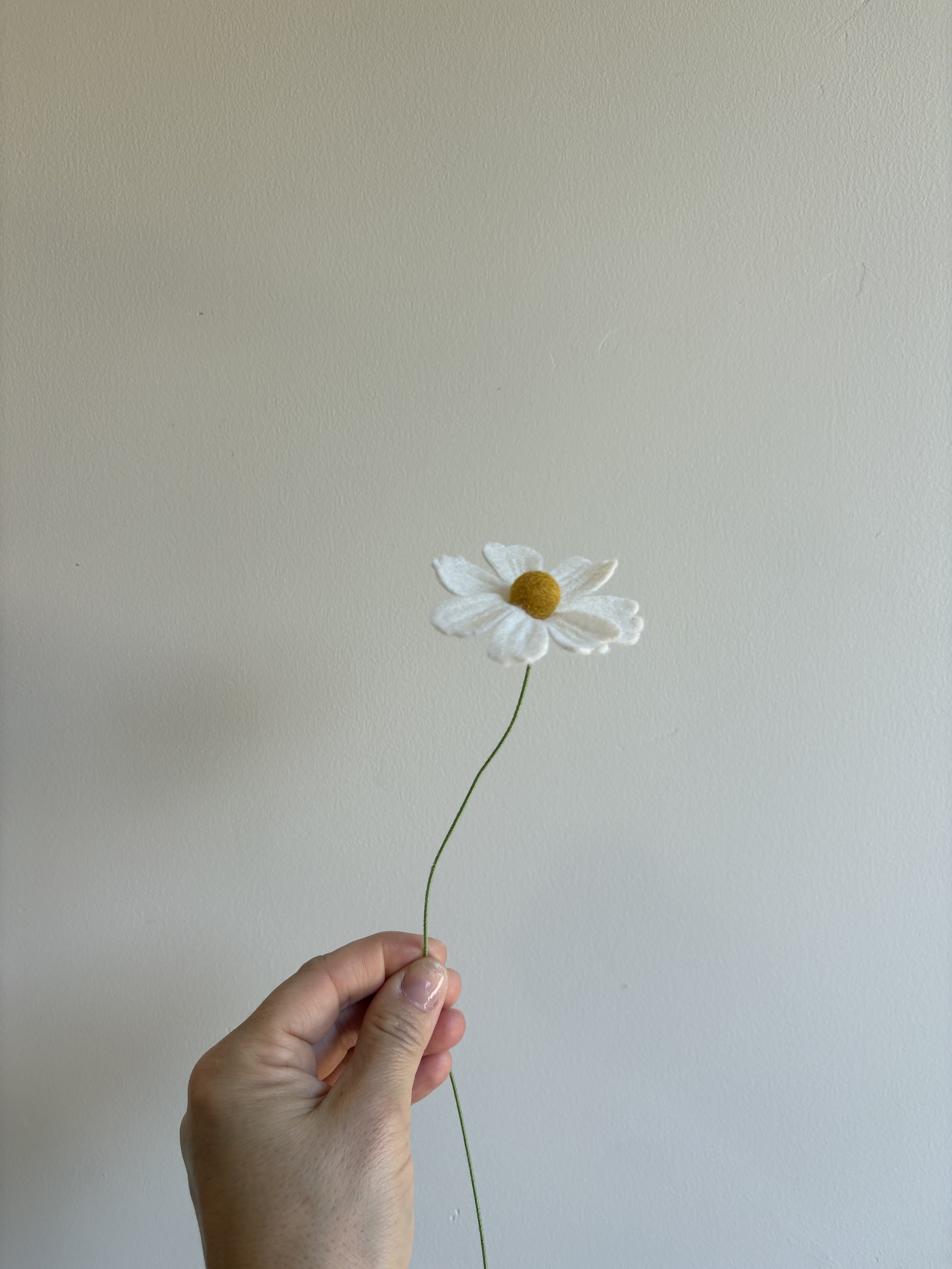 Cosmos in Linen