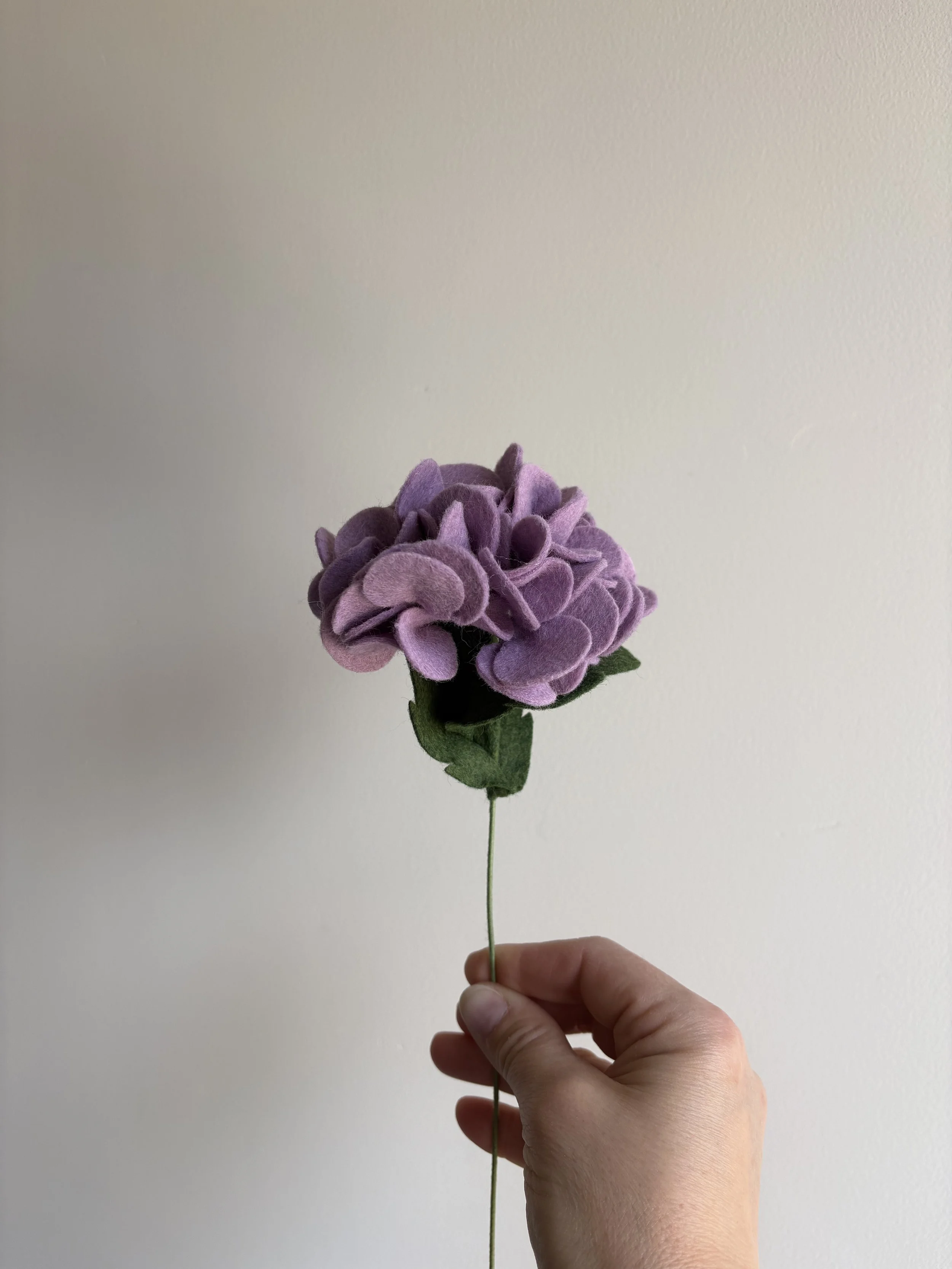 X IMG_8375 2.jpeg