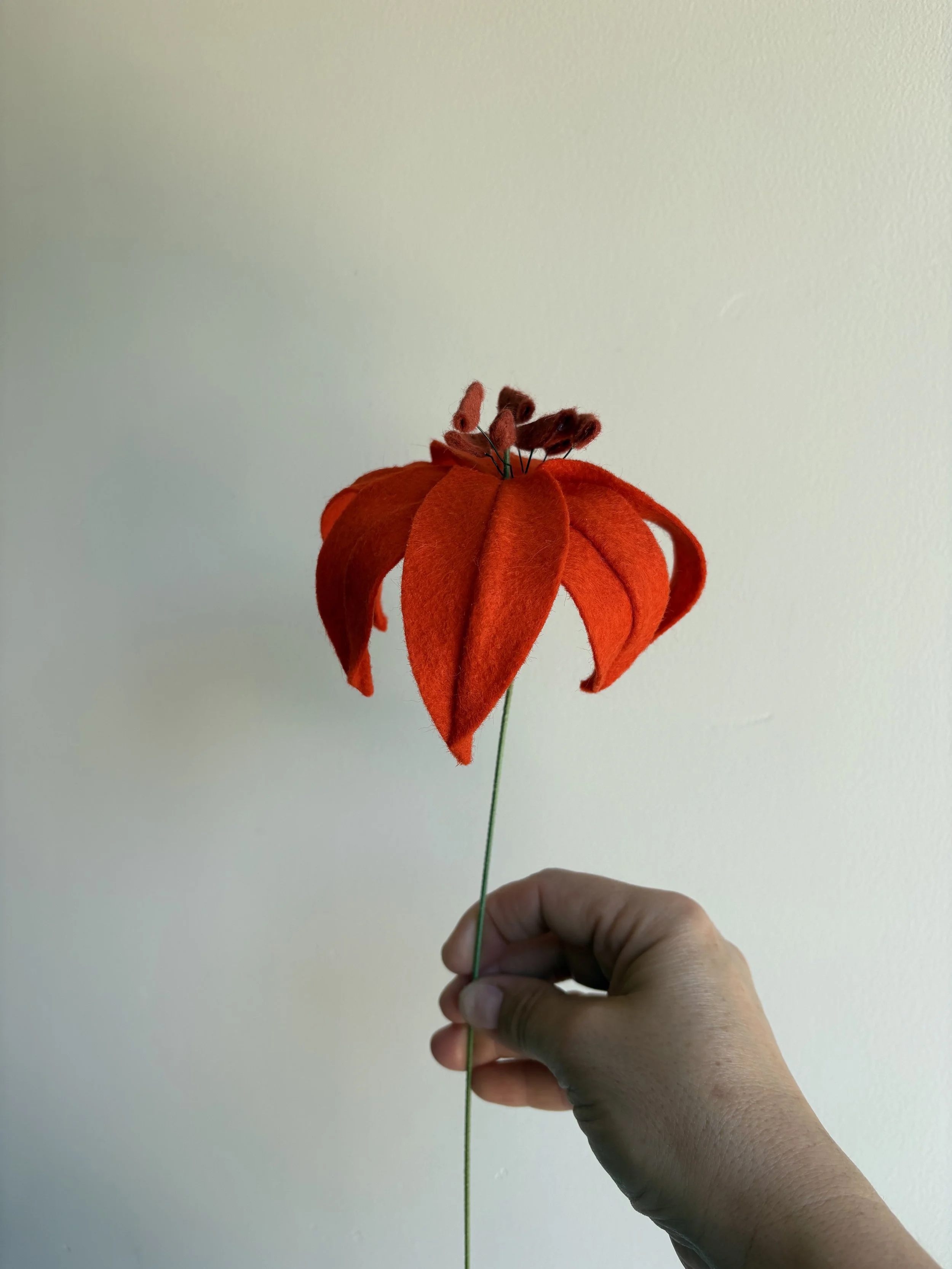 Lily in Dark Orange