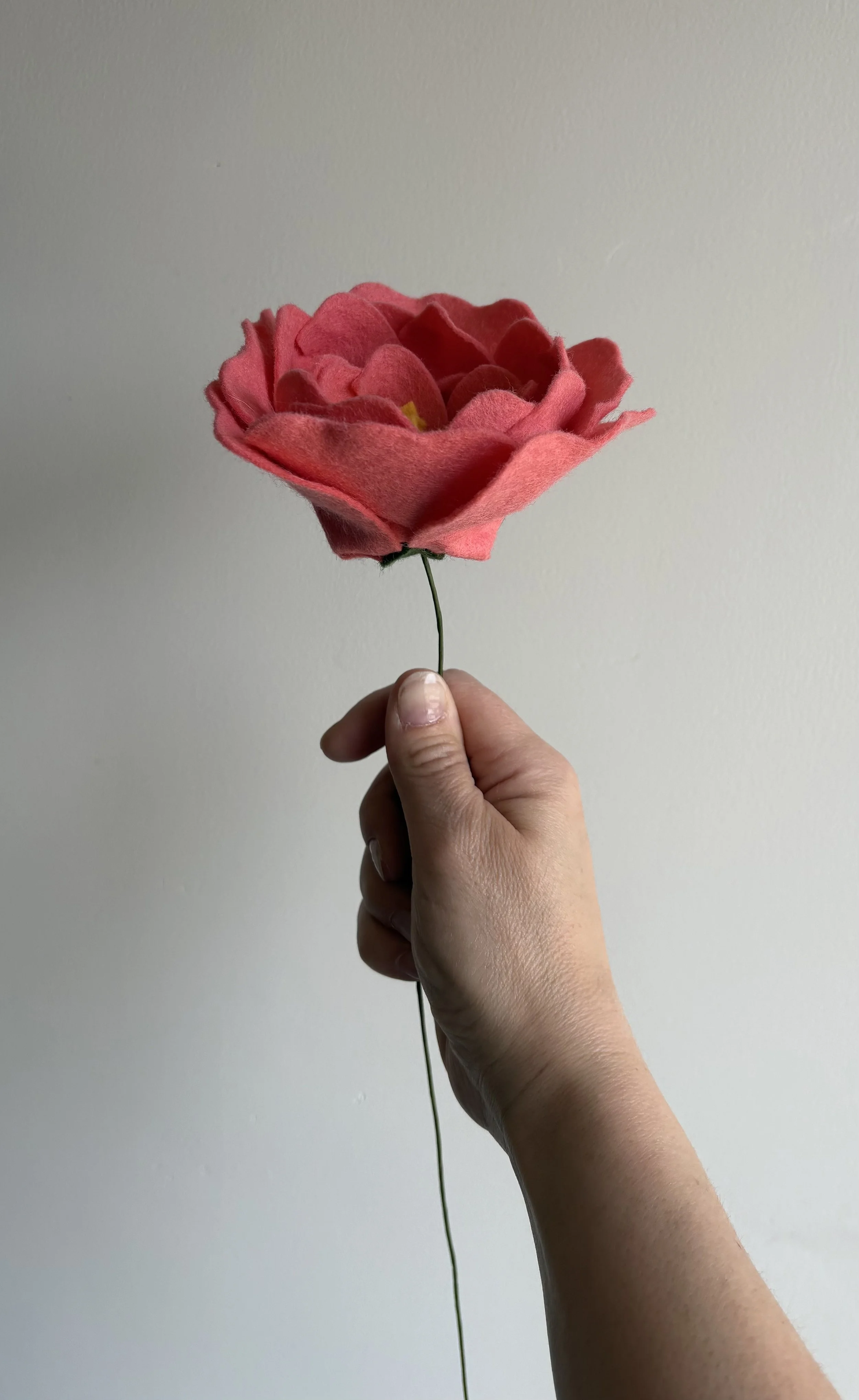 X IMG_8312 2.jpeg