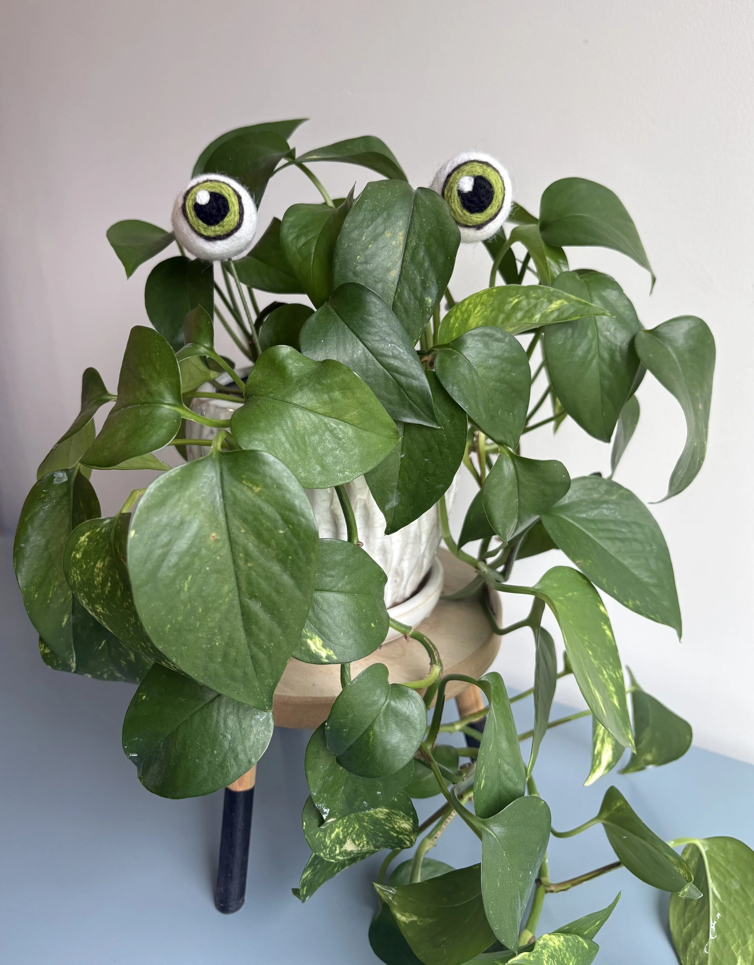 green plant eyes 1.jpeg