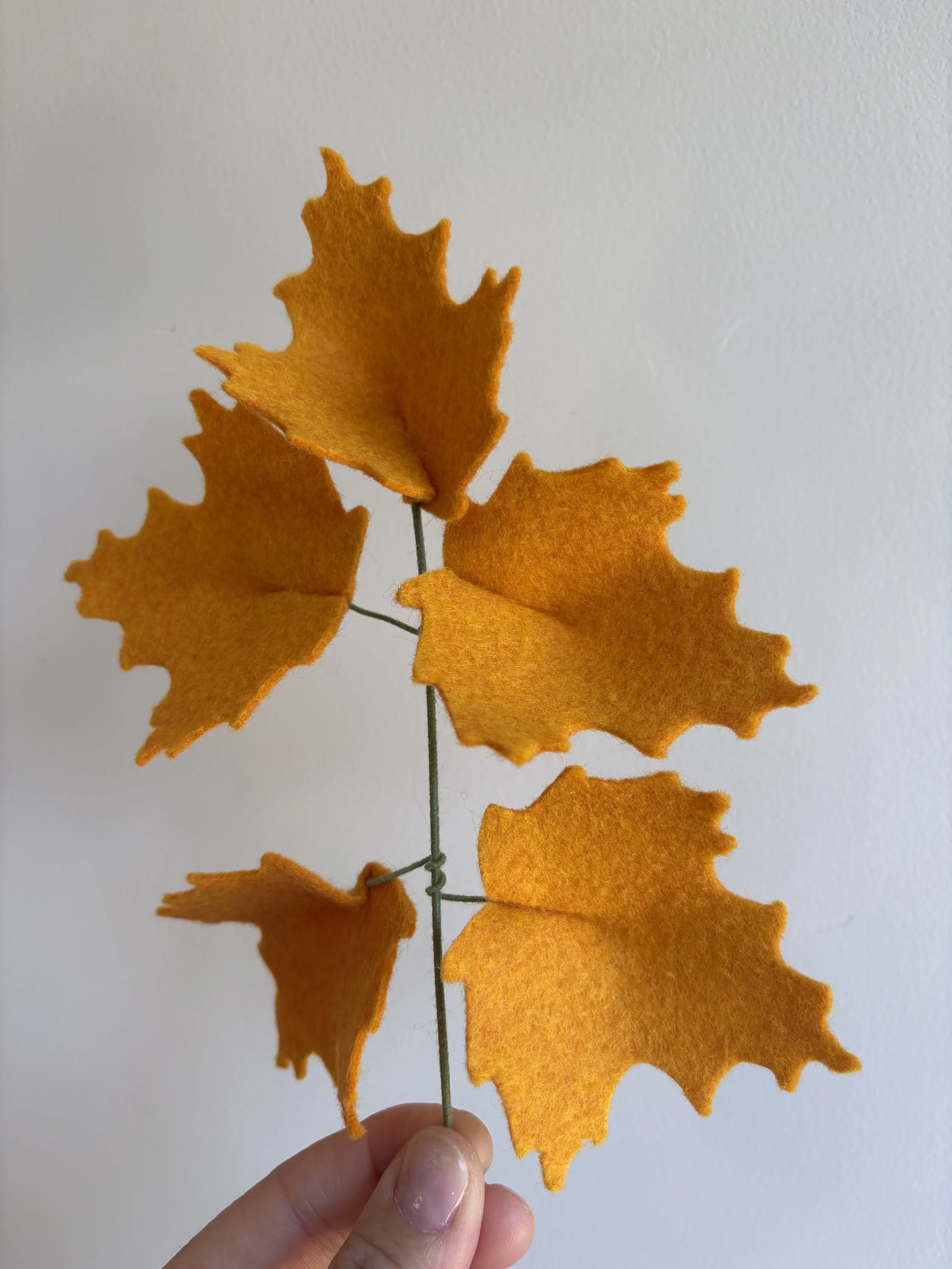 maple branch in squash 2.jpeg