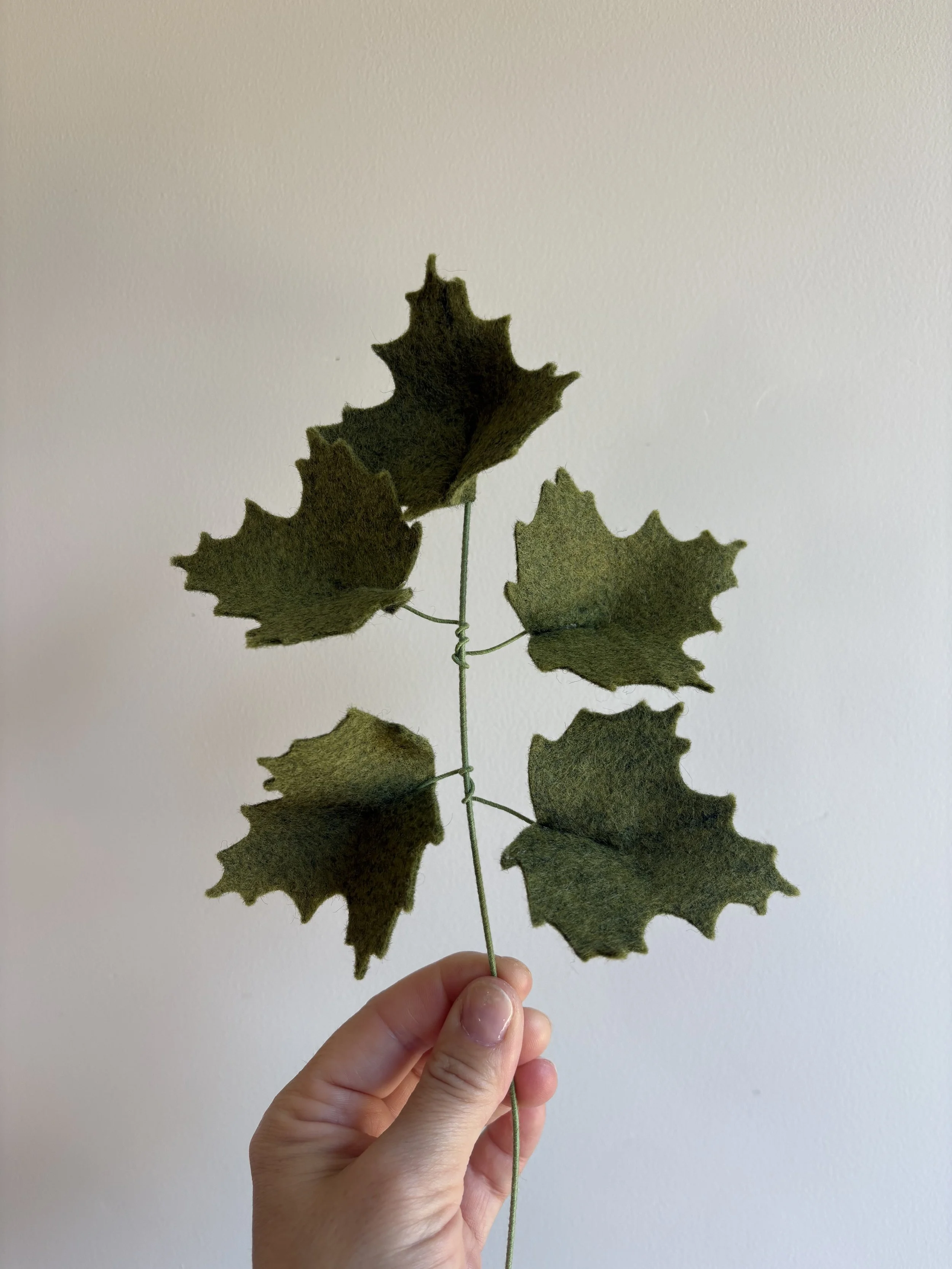 Maple Branch in Relish