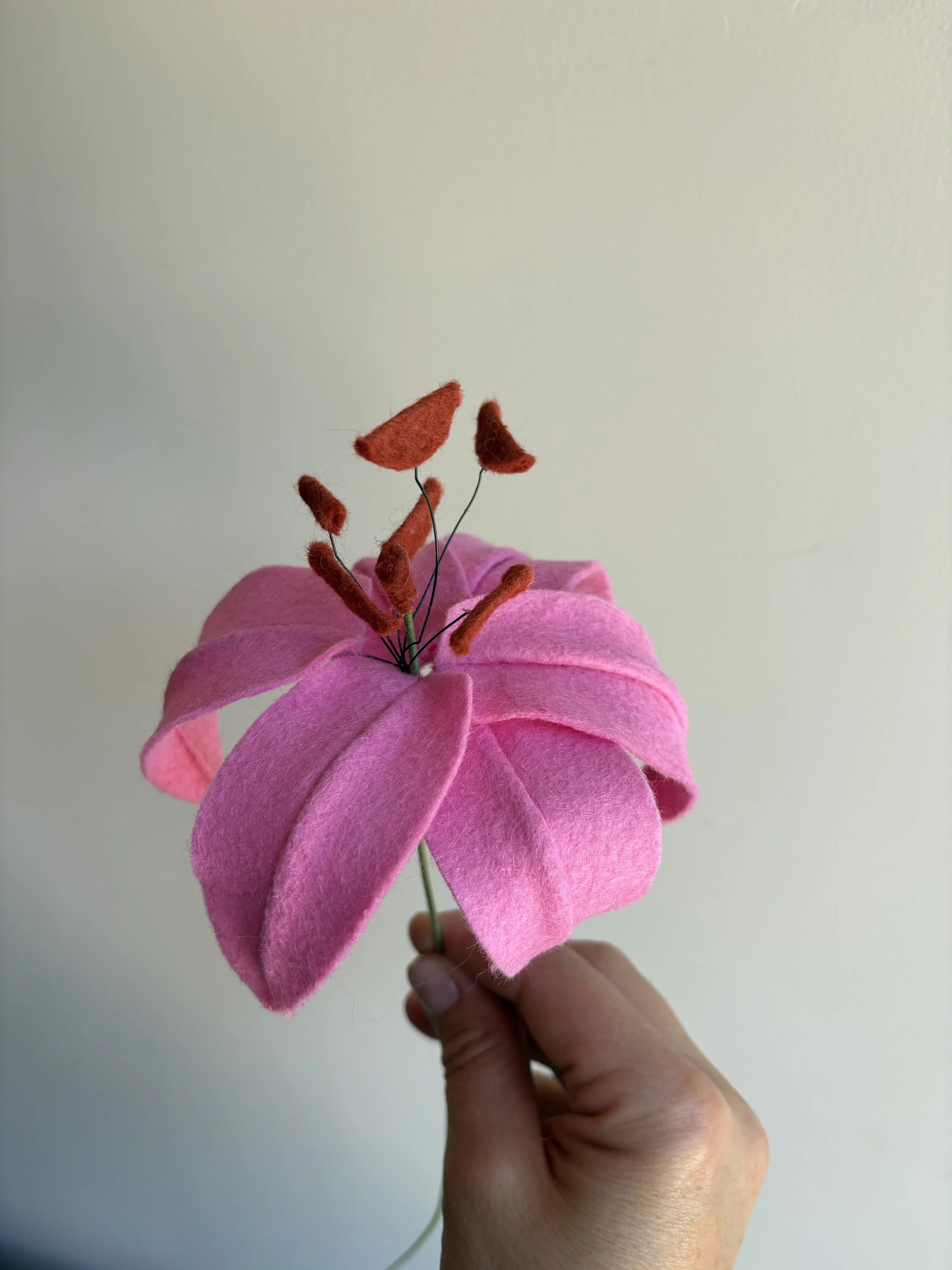 Lily in bright pink 2.jpeg