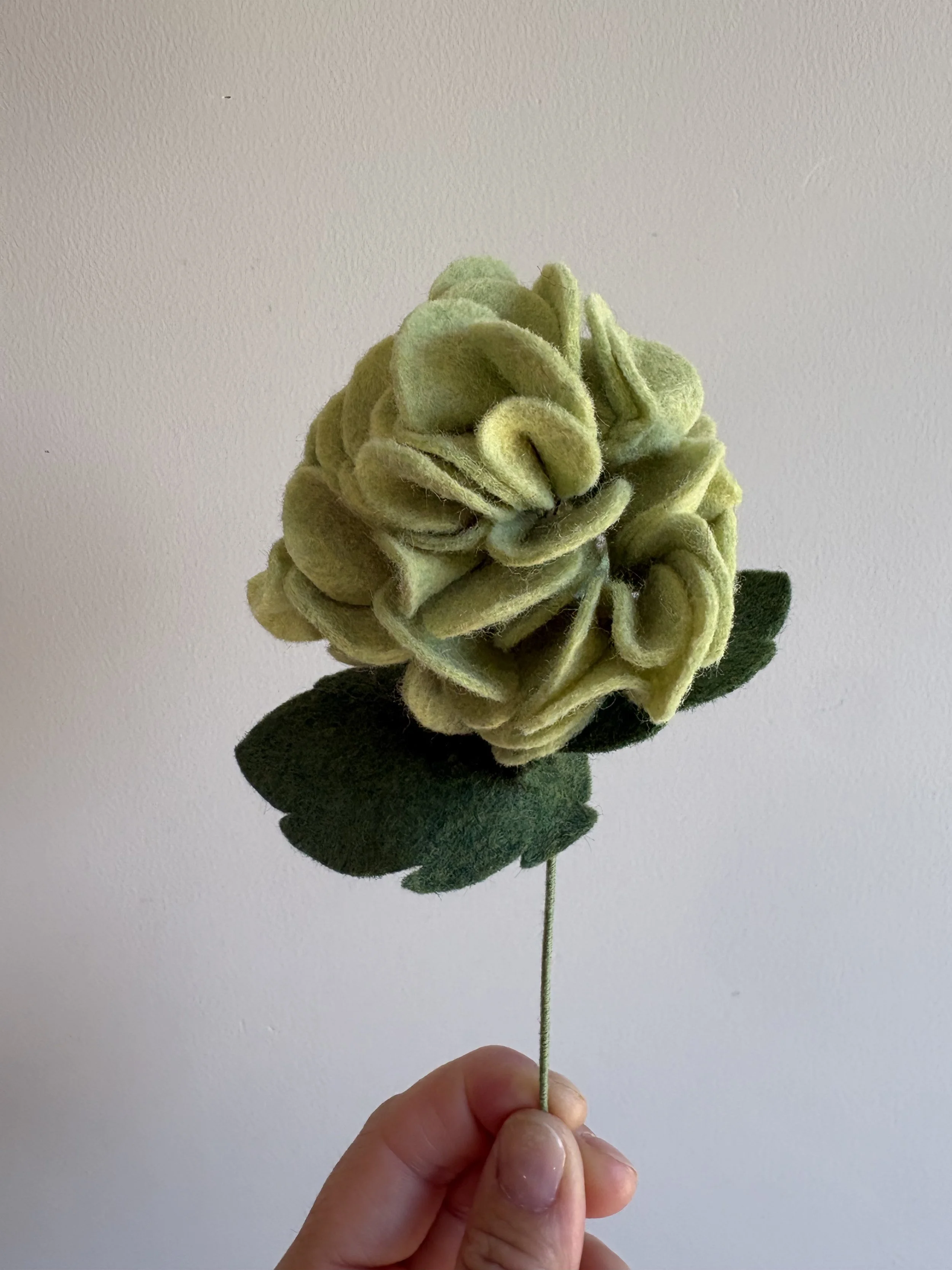 Hydrangea in pistacio 2.jpeg