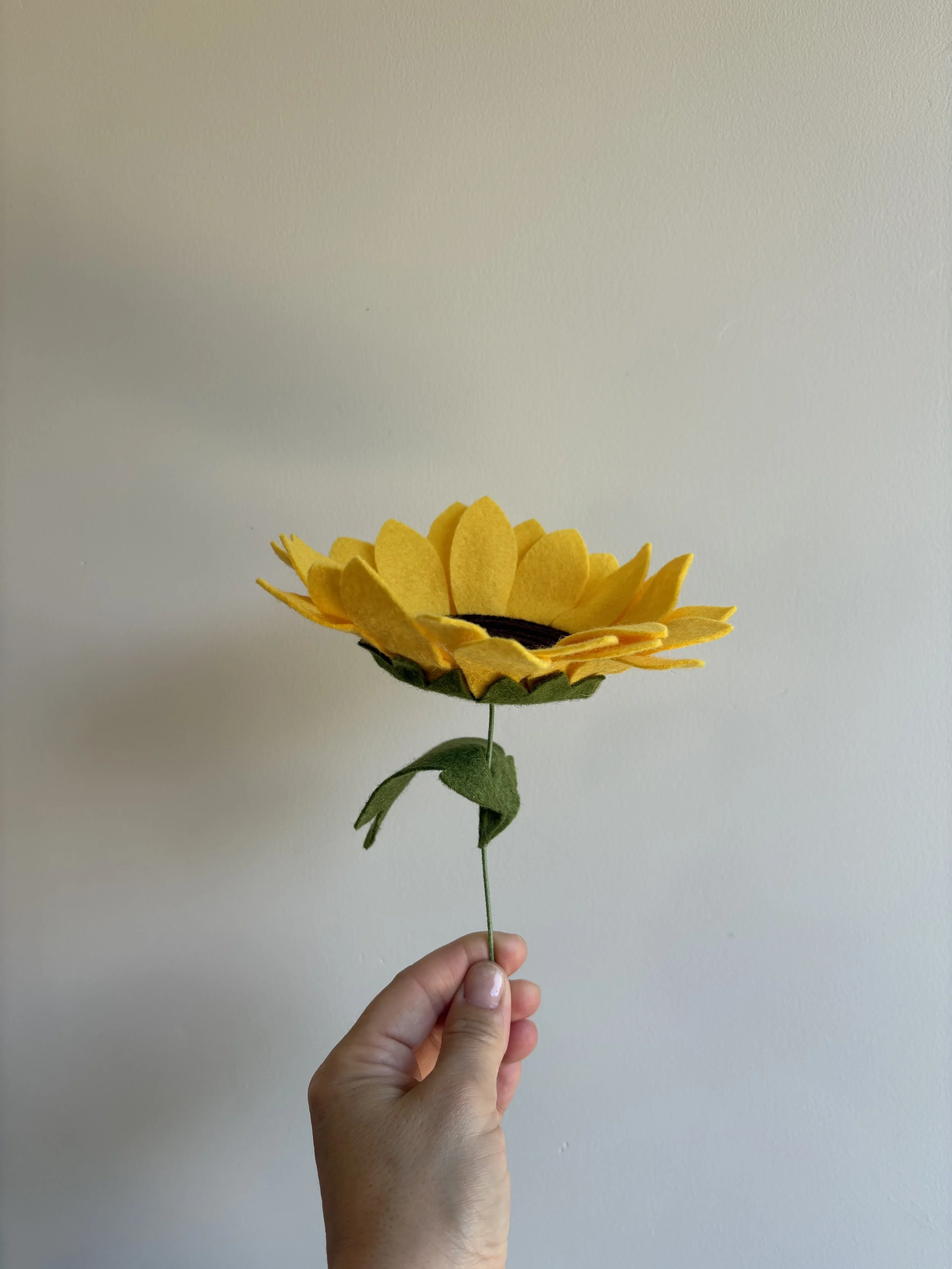 Large Sunflower