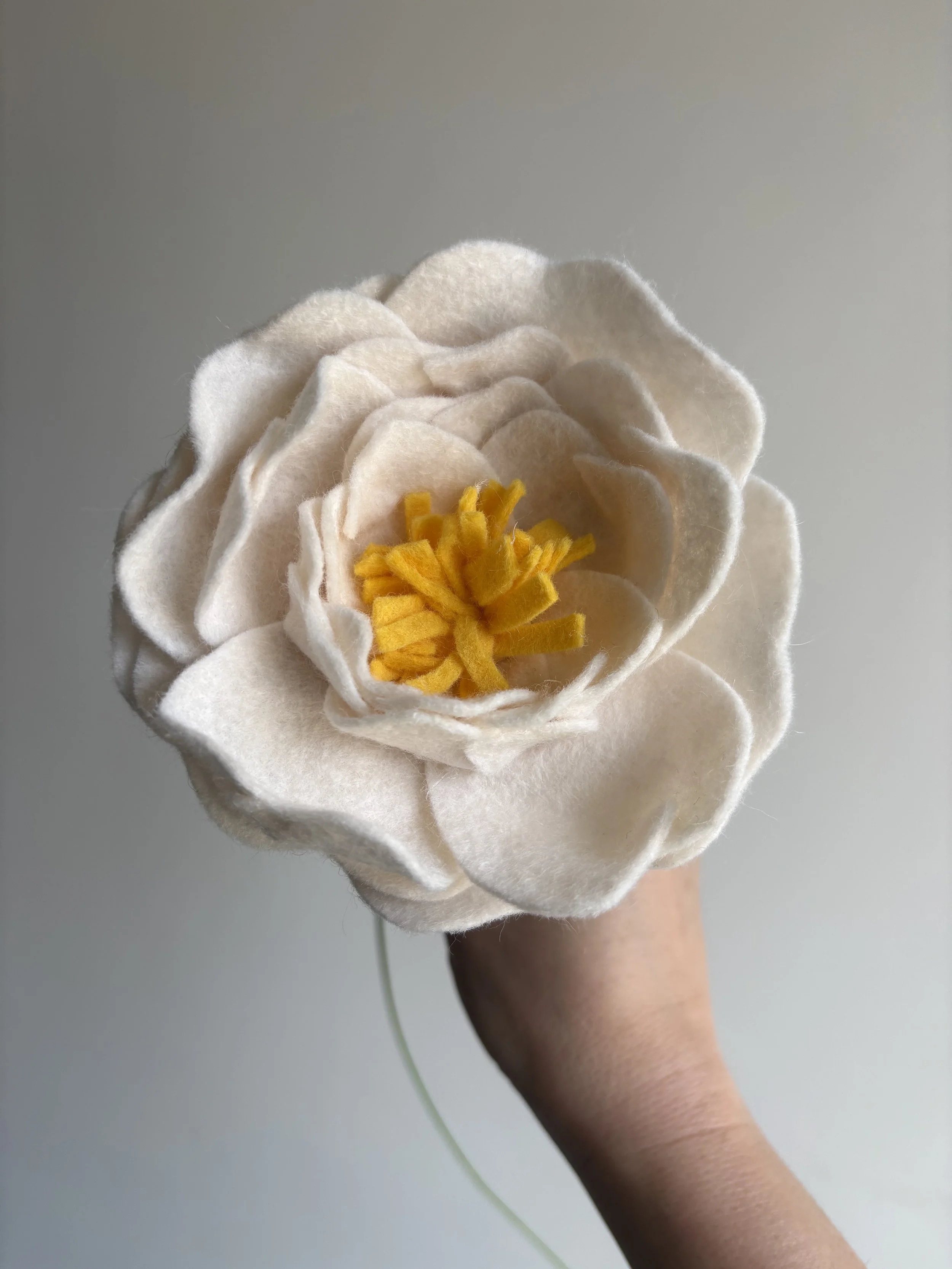 Peony in Linen