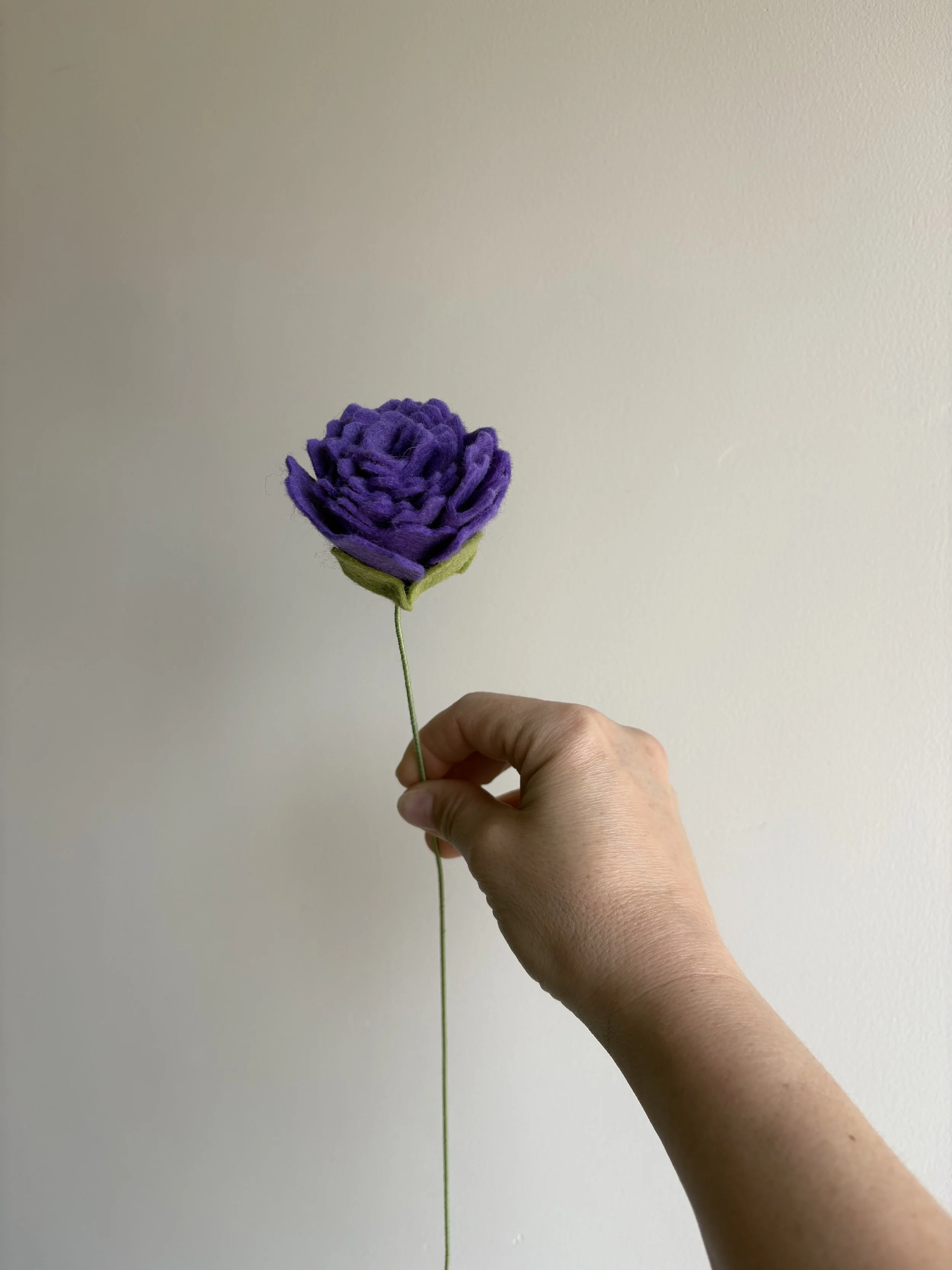 X IMG_8285 2.jpeg