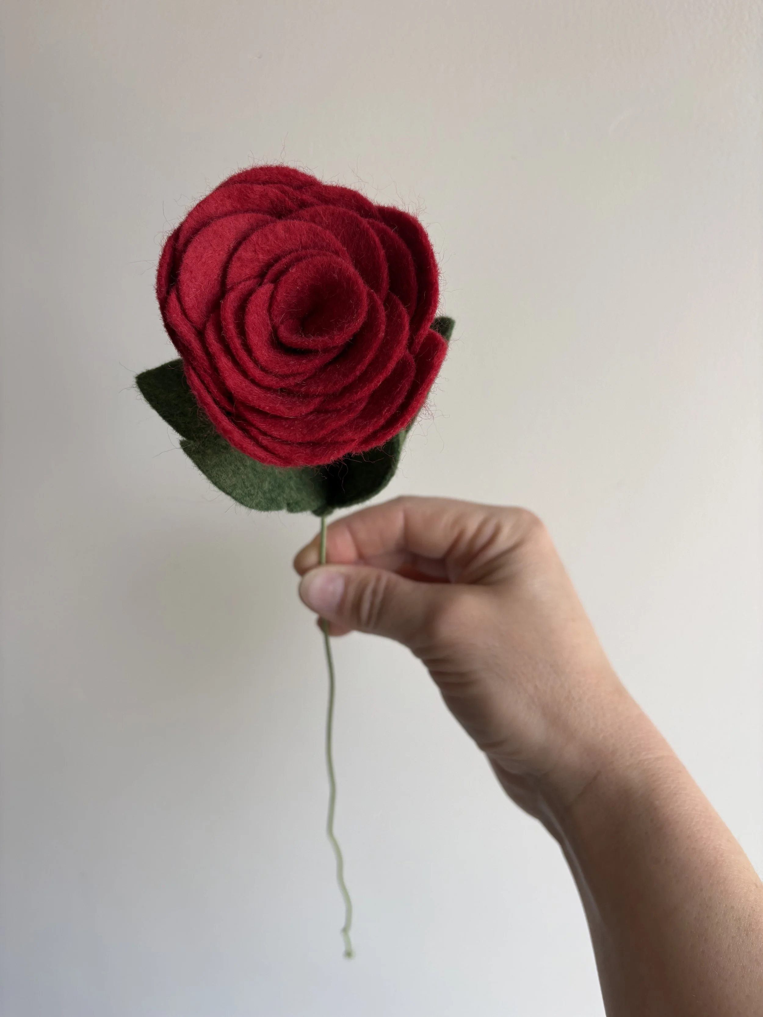 Rose in Red