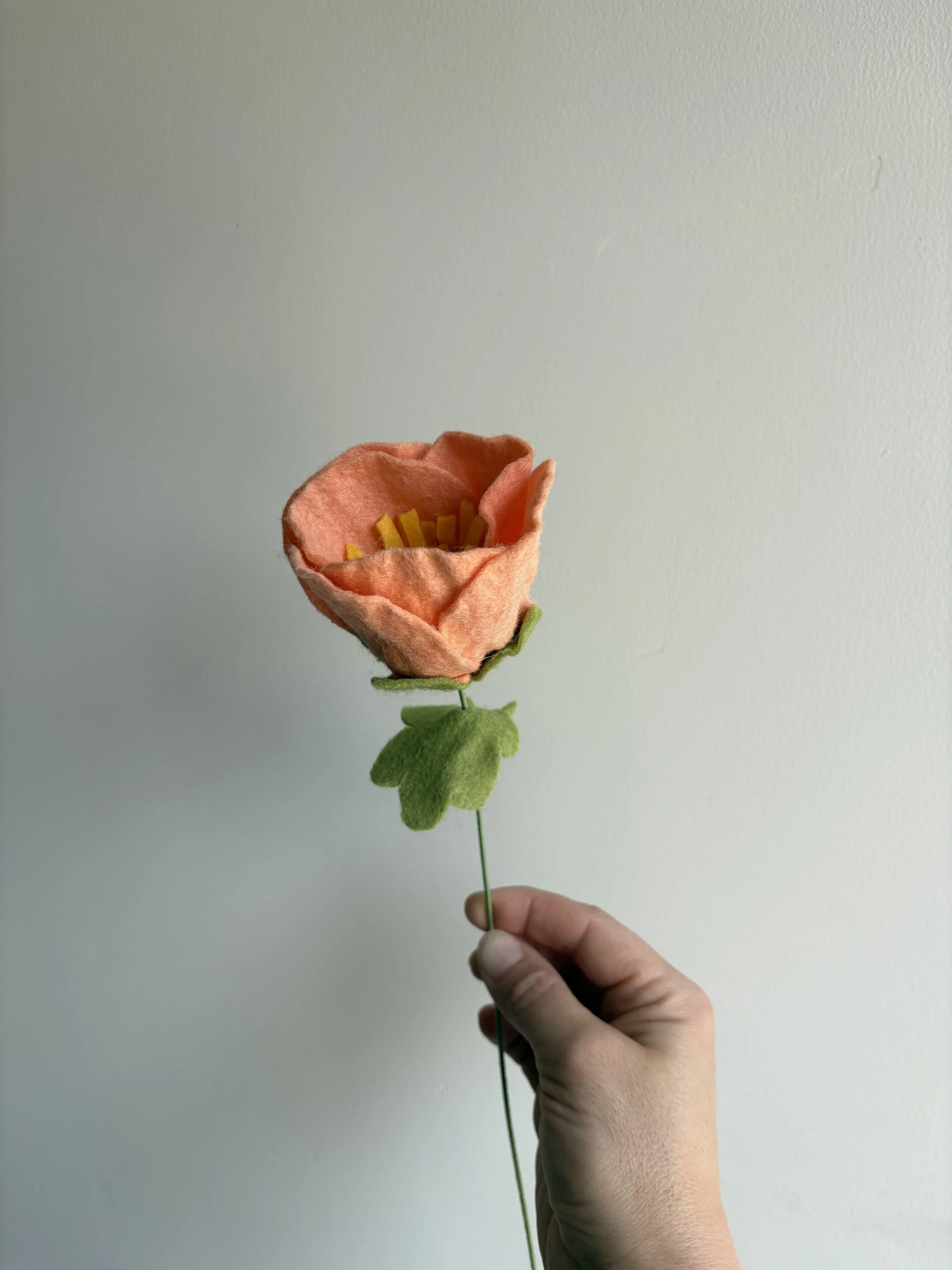 X IMG_8309.jpeg