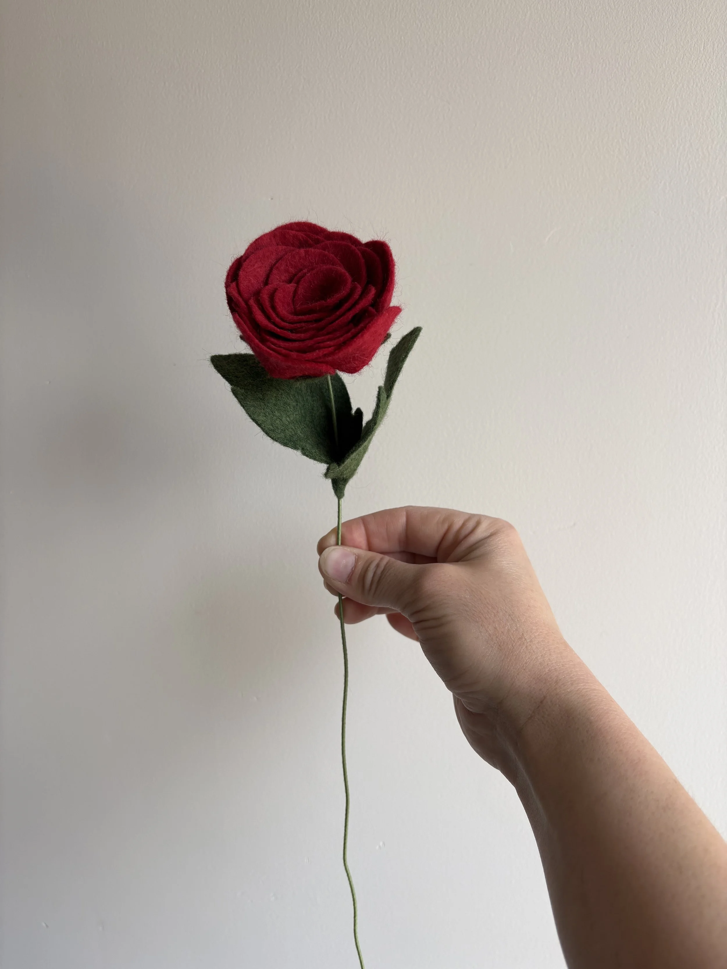 X IMG_8298 2.jpeg