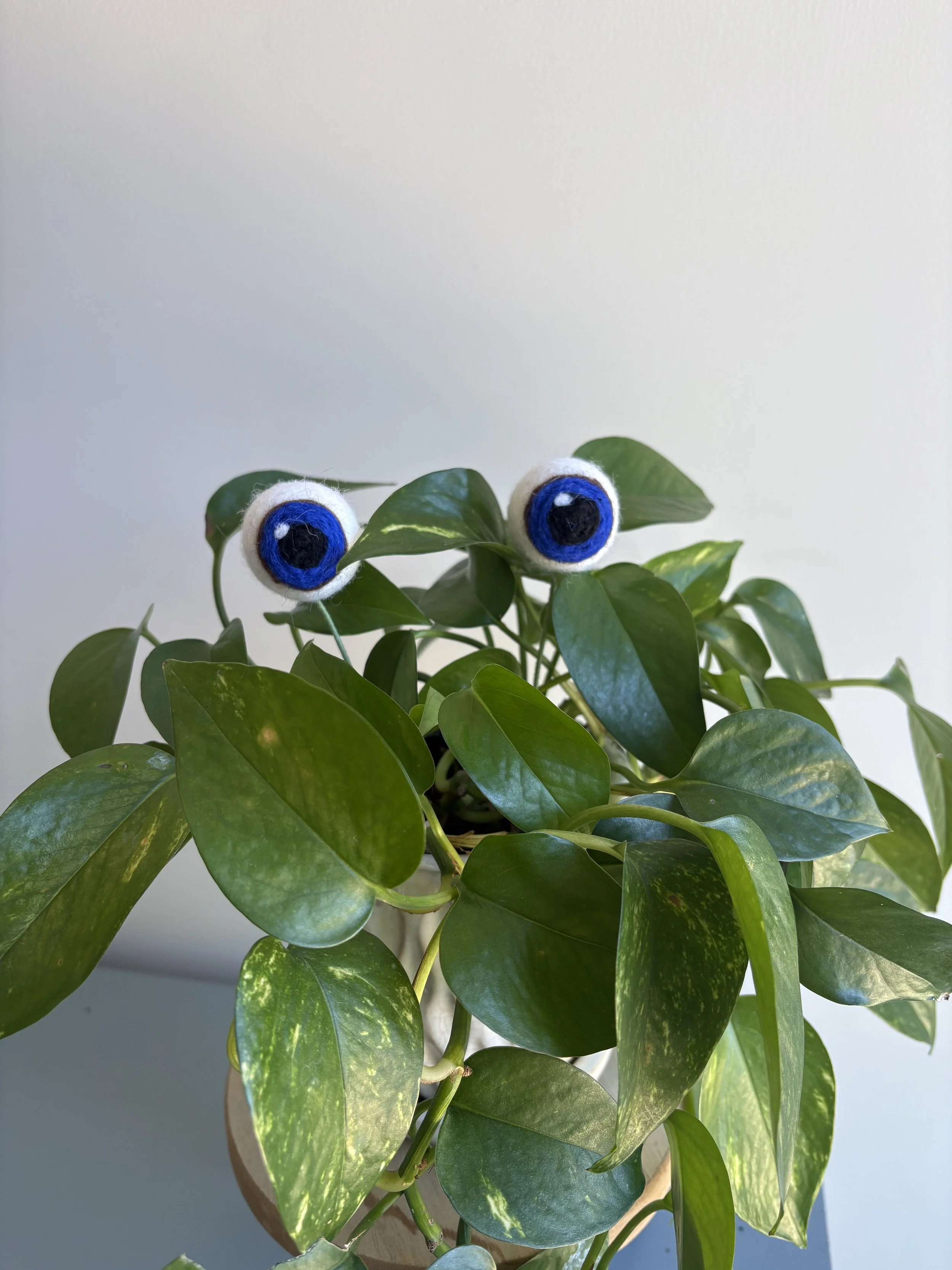 plant eyes dark blue 2.jpeg