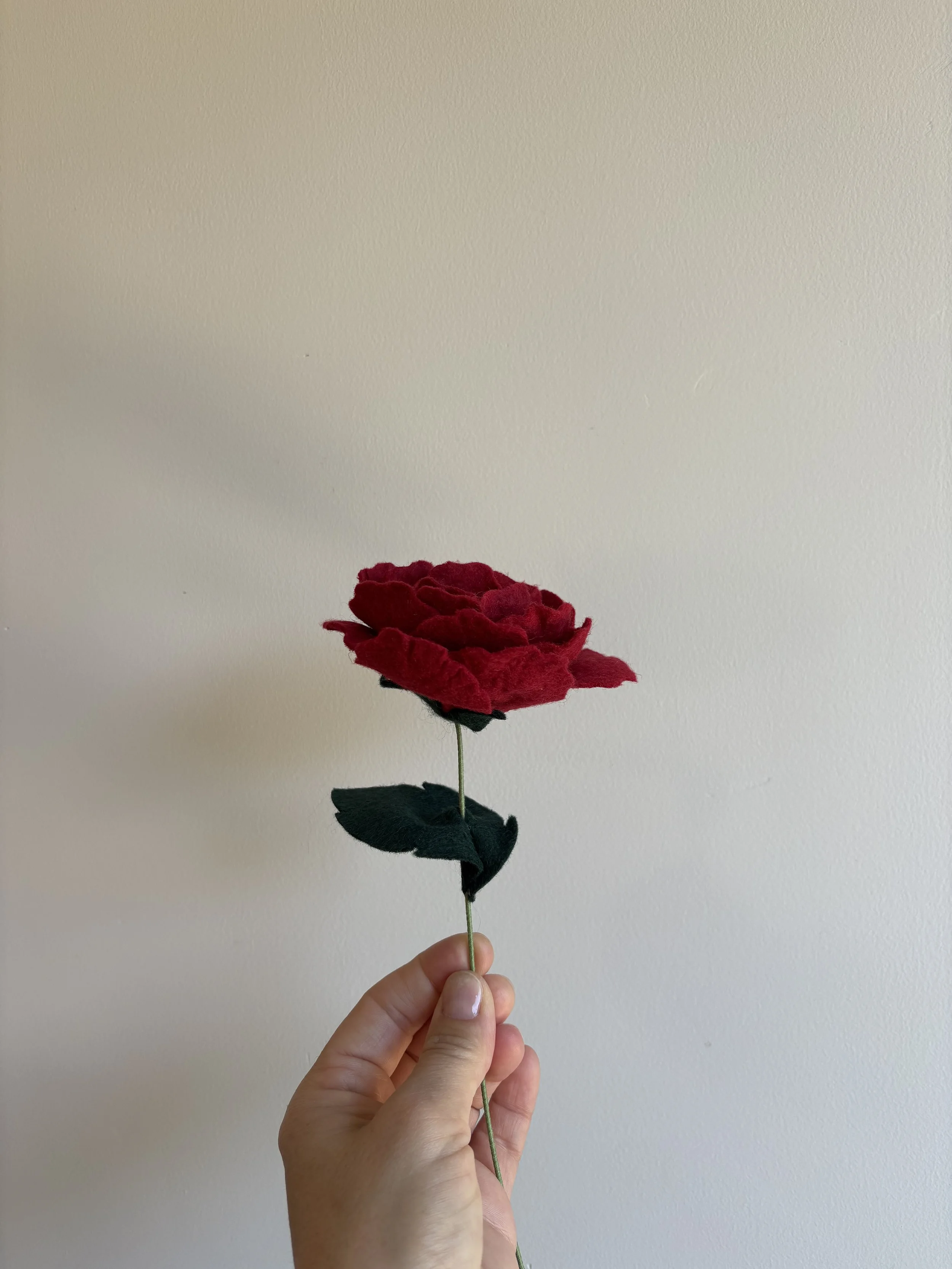Rose red 1.jpeg