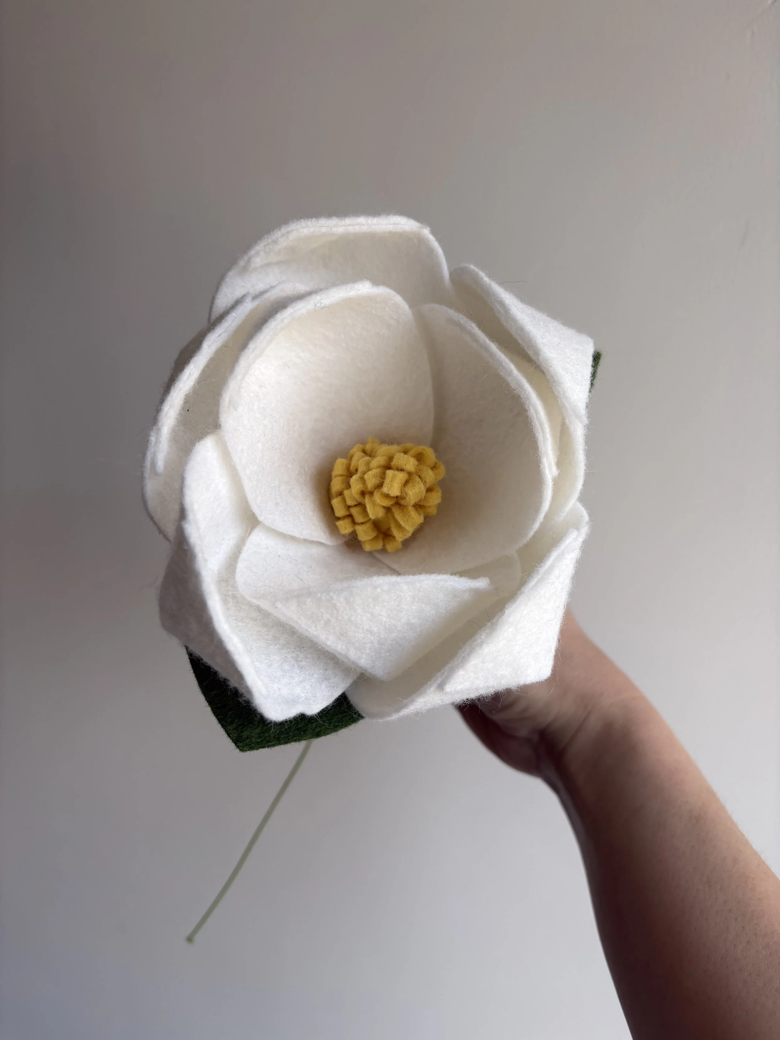 Magnolia