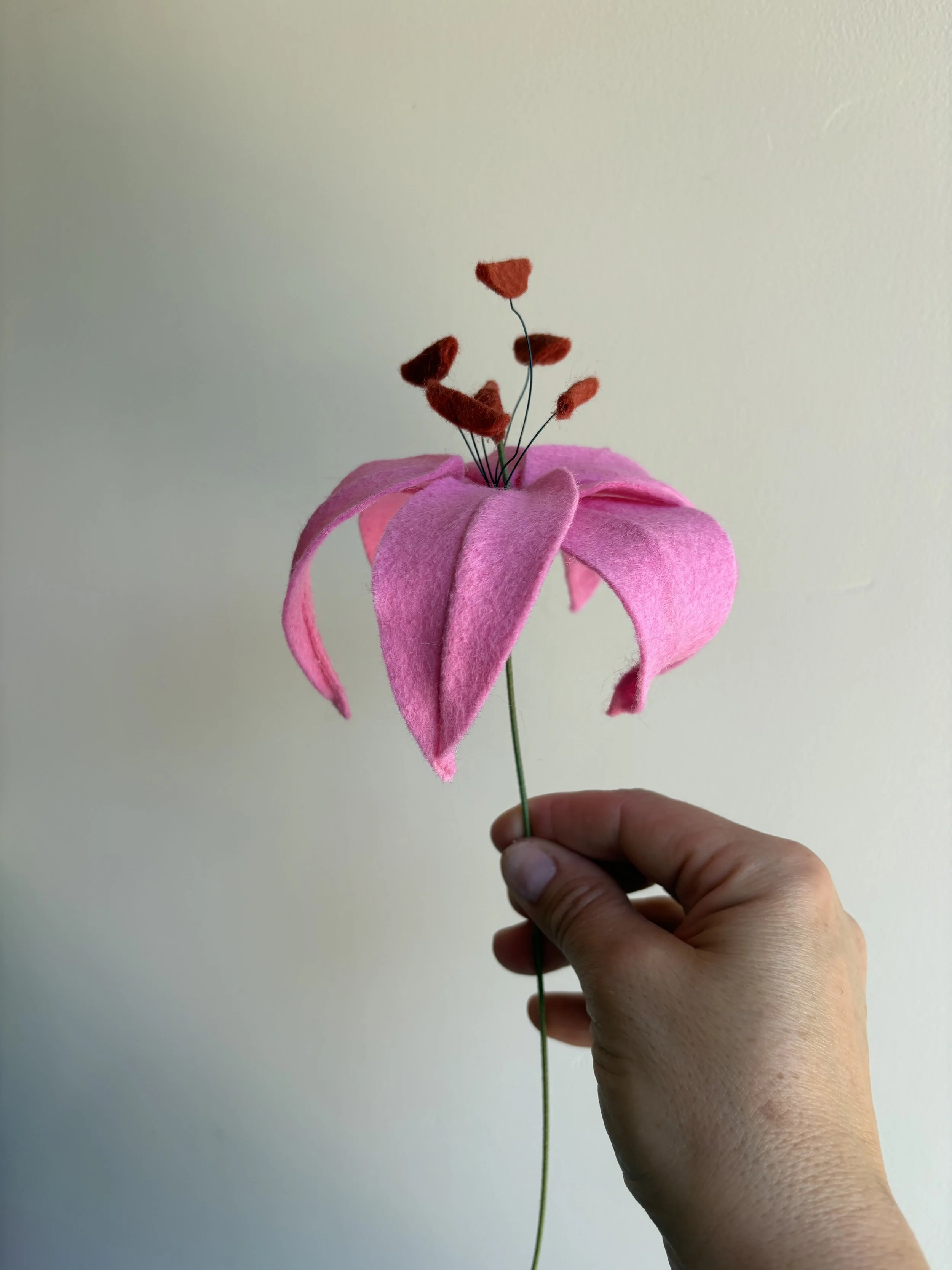 Lily in Bright Pink