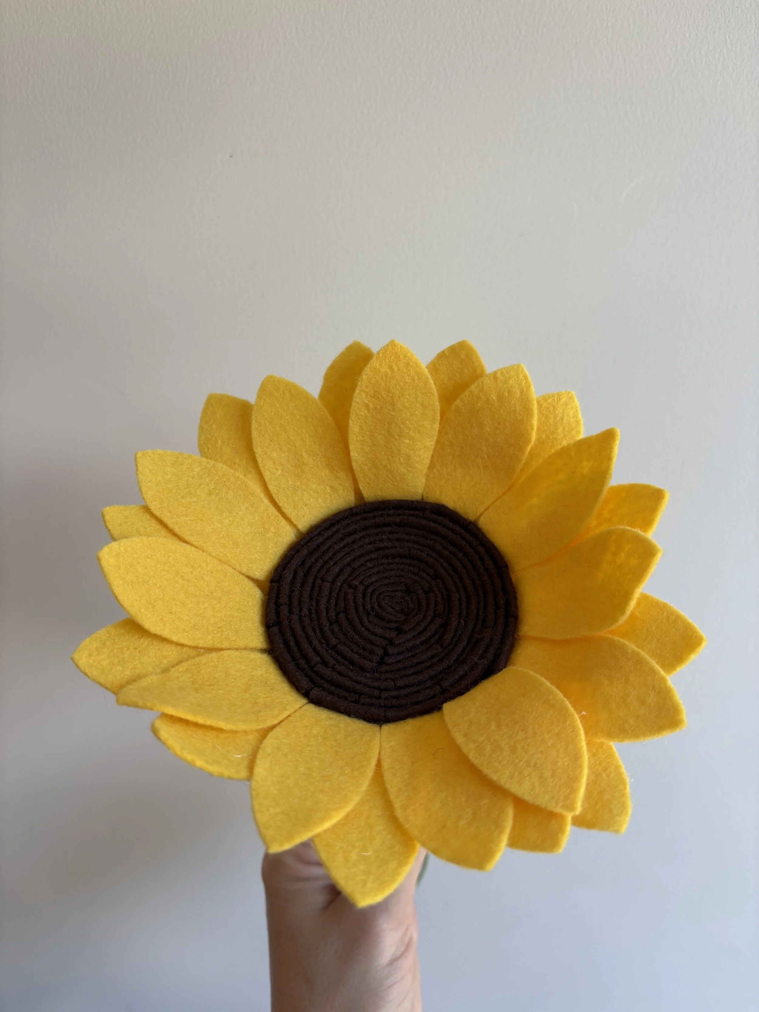 Large Sunflower sunshine 2.jpeg
