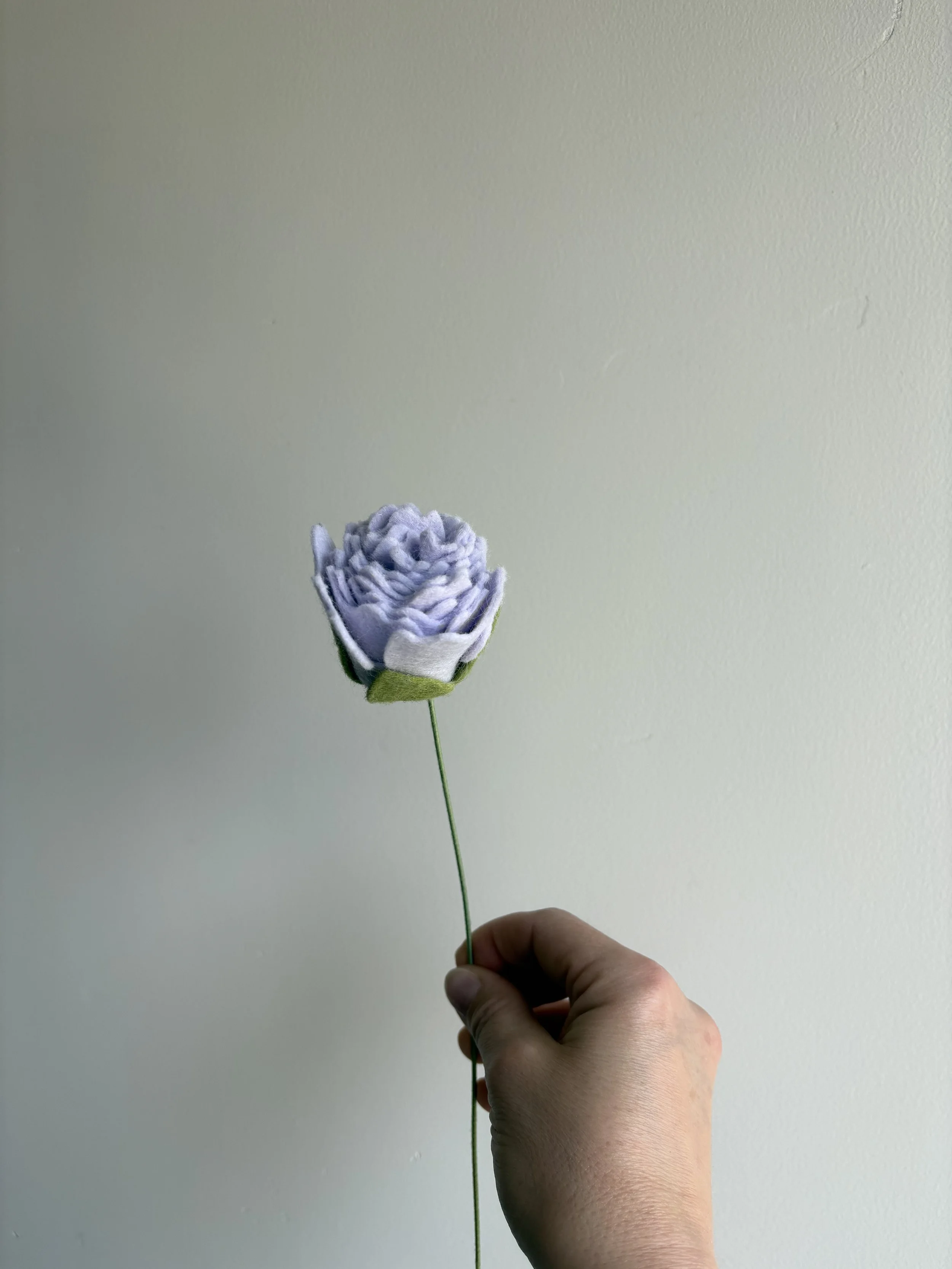 X IMG_8289 2.jpeg