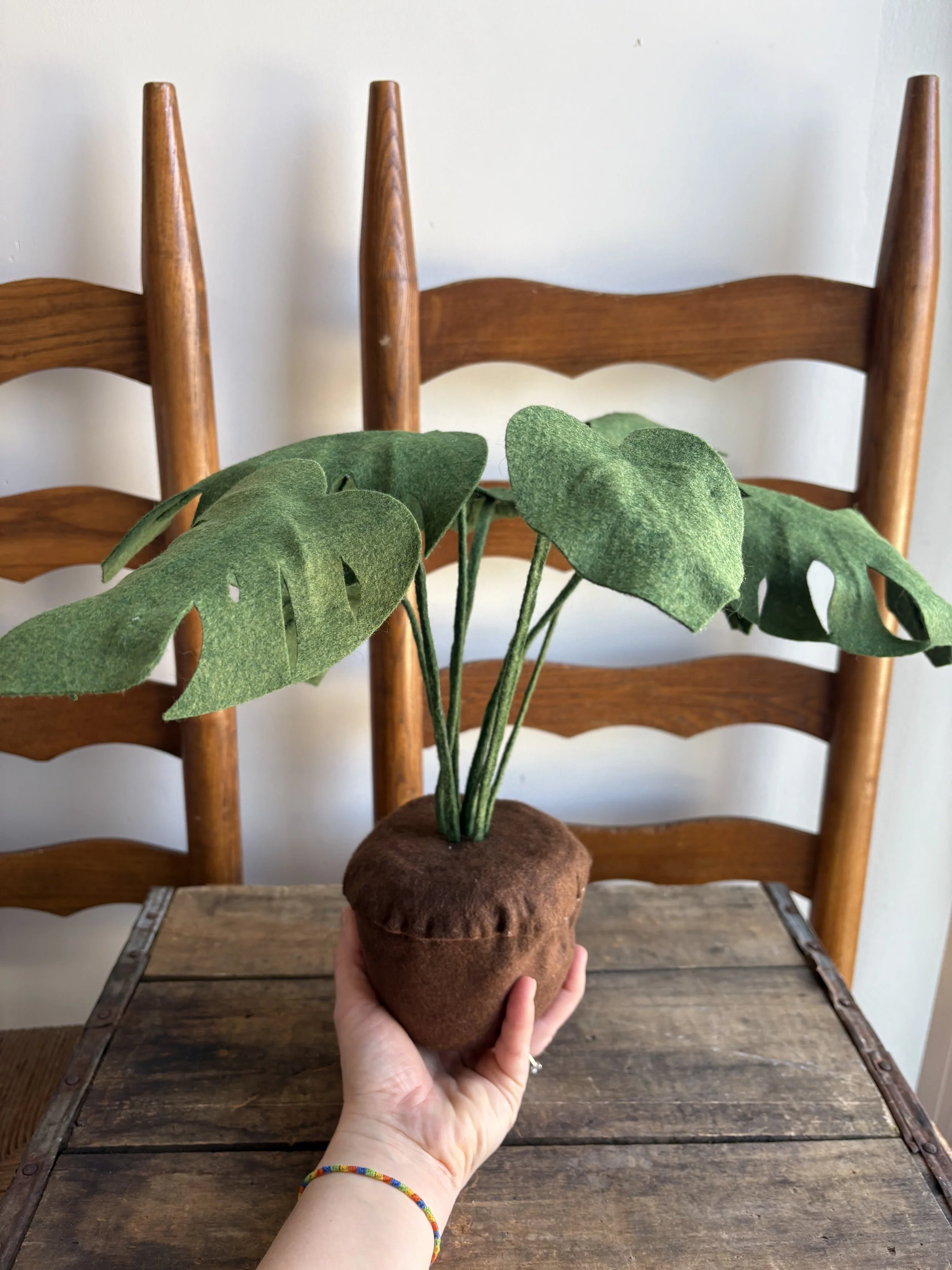 monstera6.jpeg