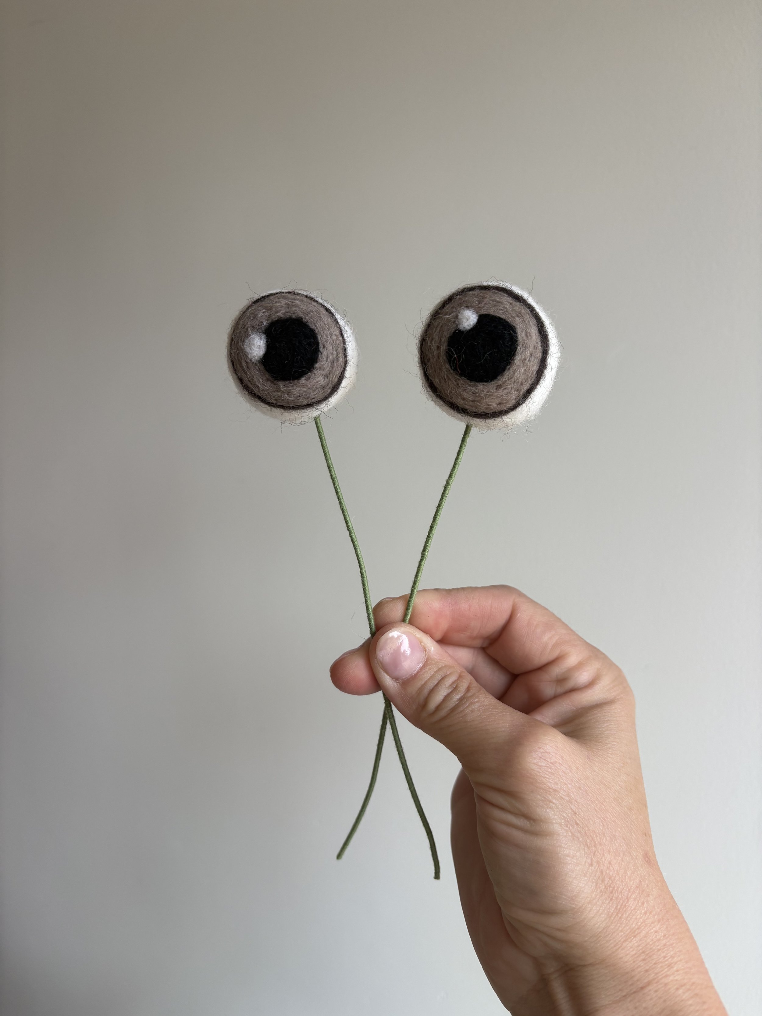 gray plant eyes 2.jpeg
