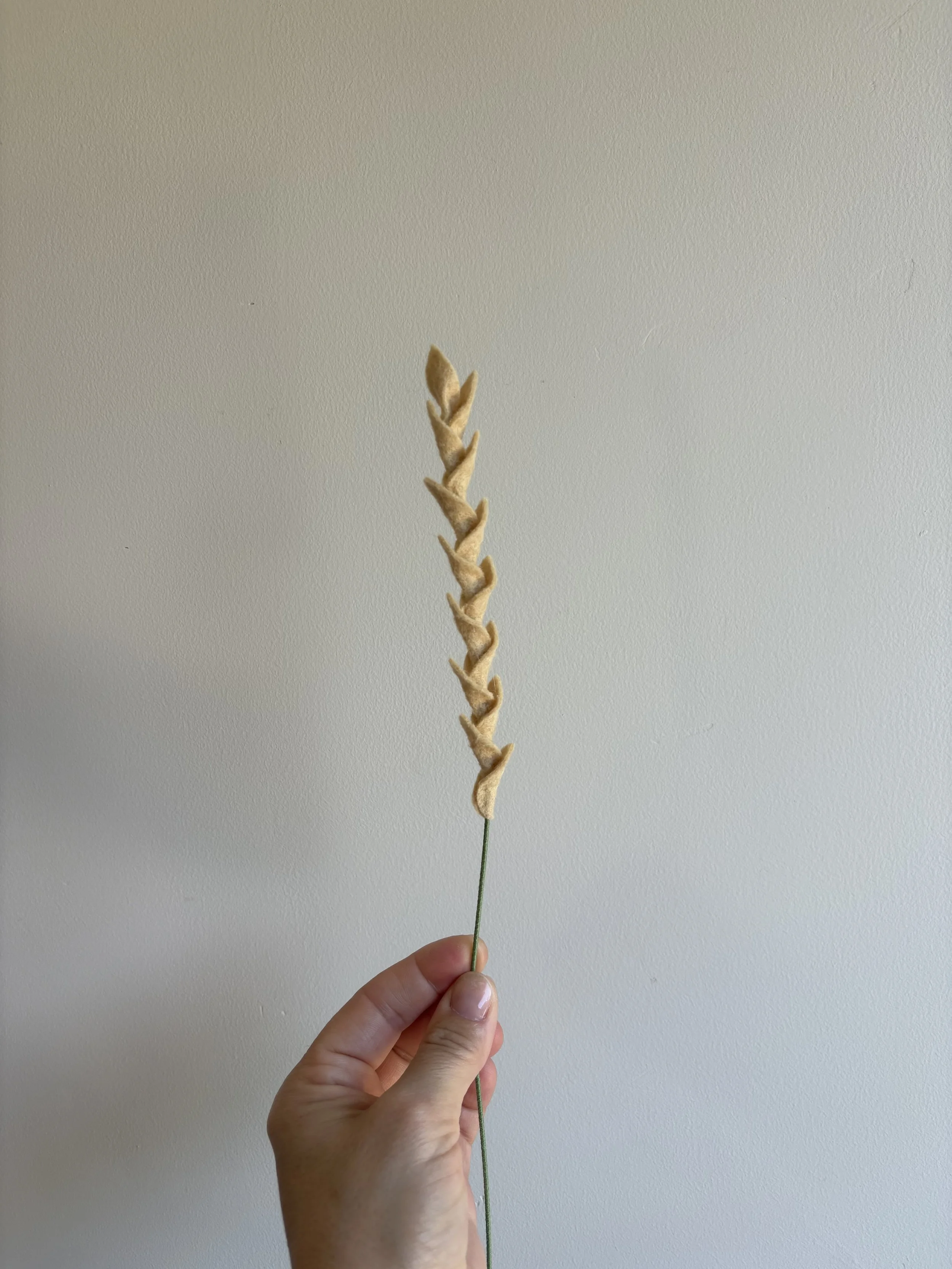 Wheat Stalk