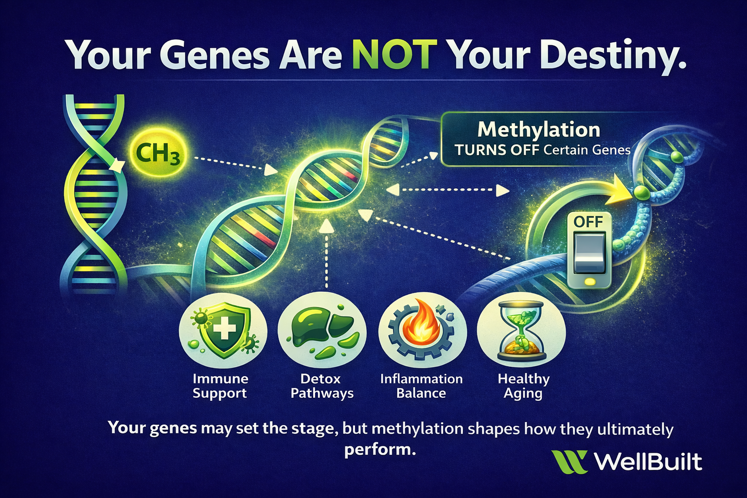 Your Genes are NOT your Destiny. 