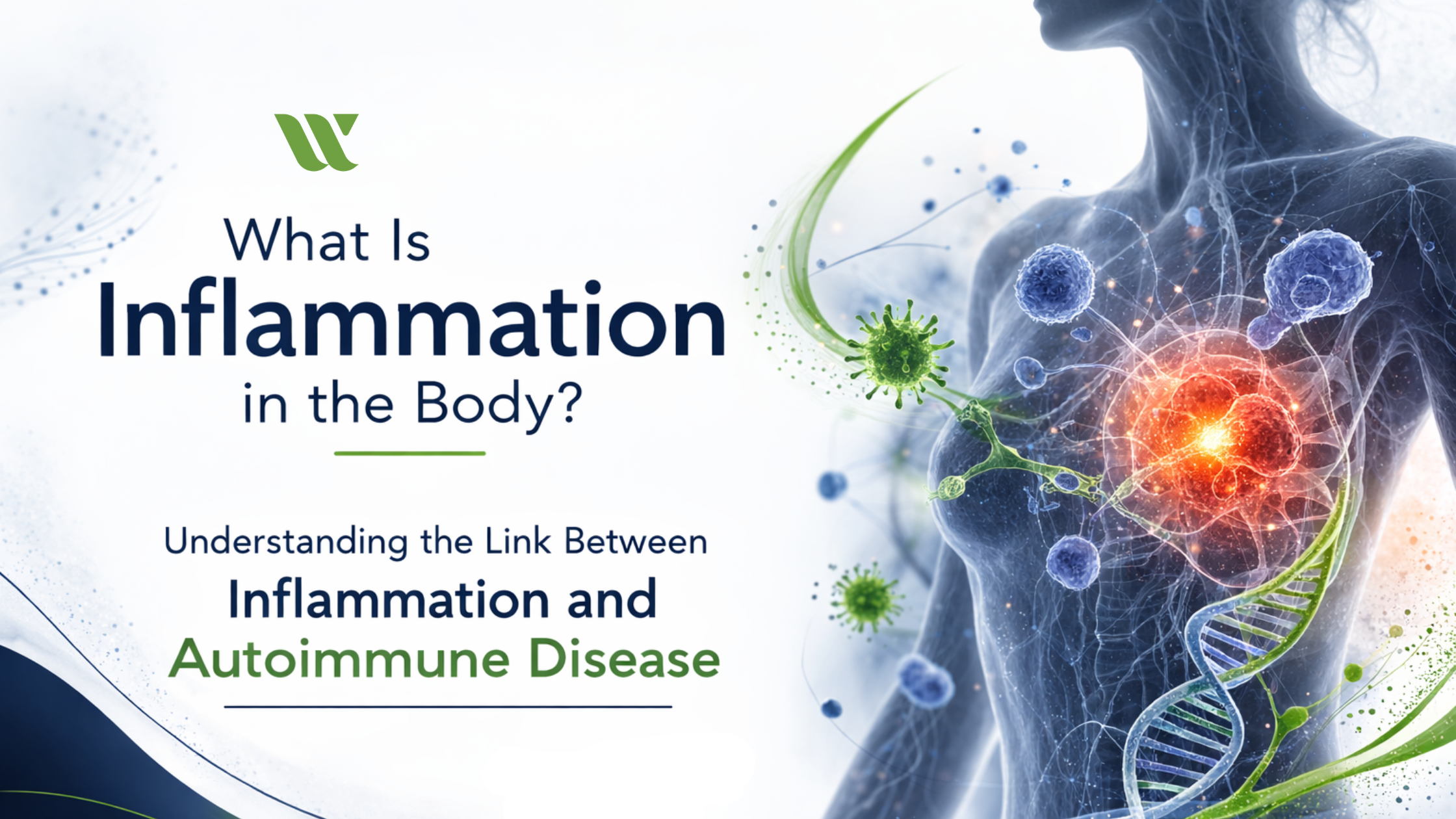 What Is Inflammation in the Body?